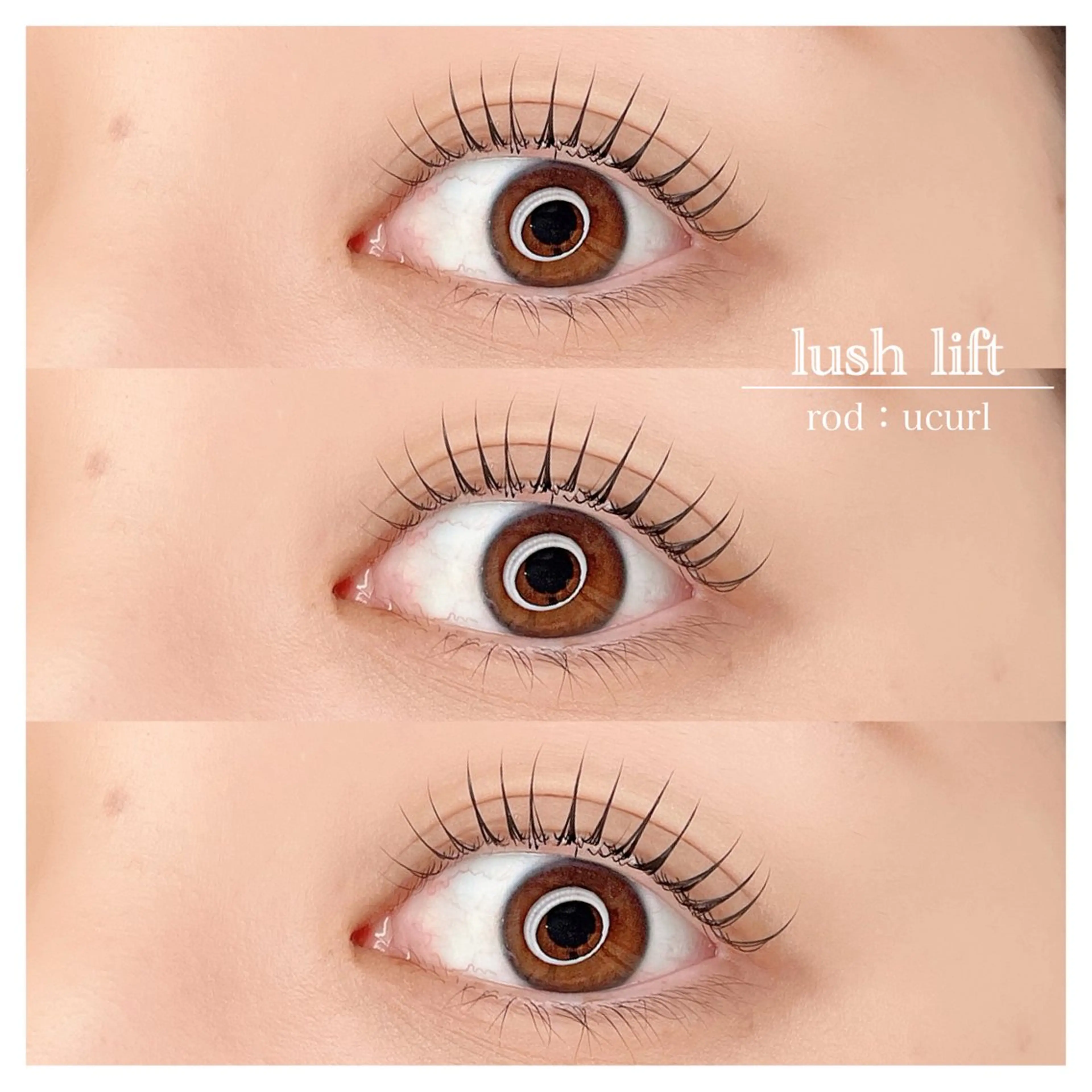 マツエク・マツパ 束感まつ毛 まつげパーマ 一重×まつ毛パーマ マツパ マツパ/マツエク/ haruna🩰のマツエク・マツパデザイン