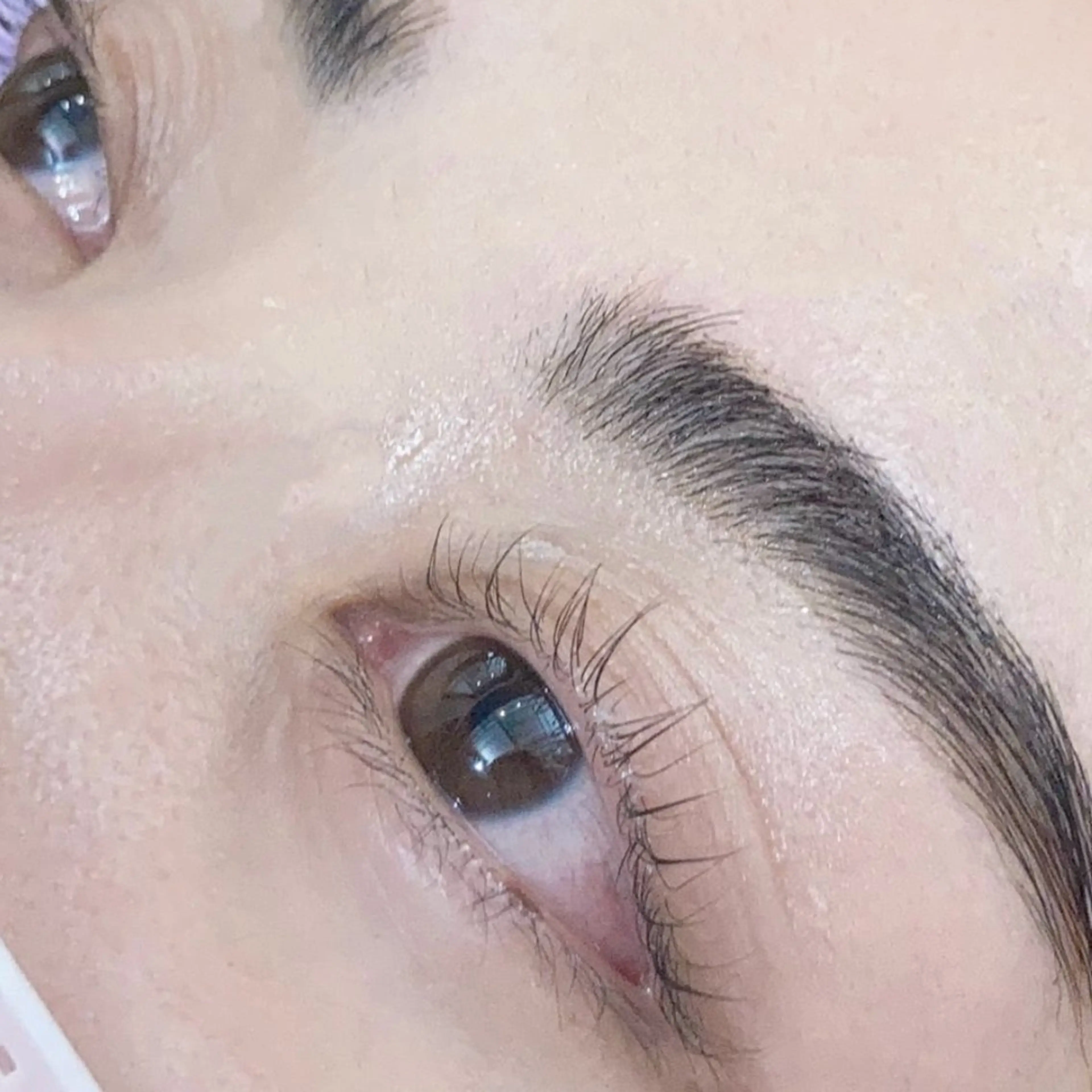 アイブロウ ハリウッドブロウリフト マツパ eyelist 馬場のマツエク・マツパデザイン