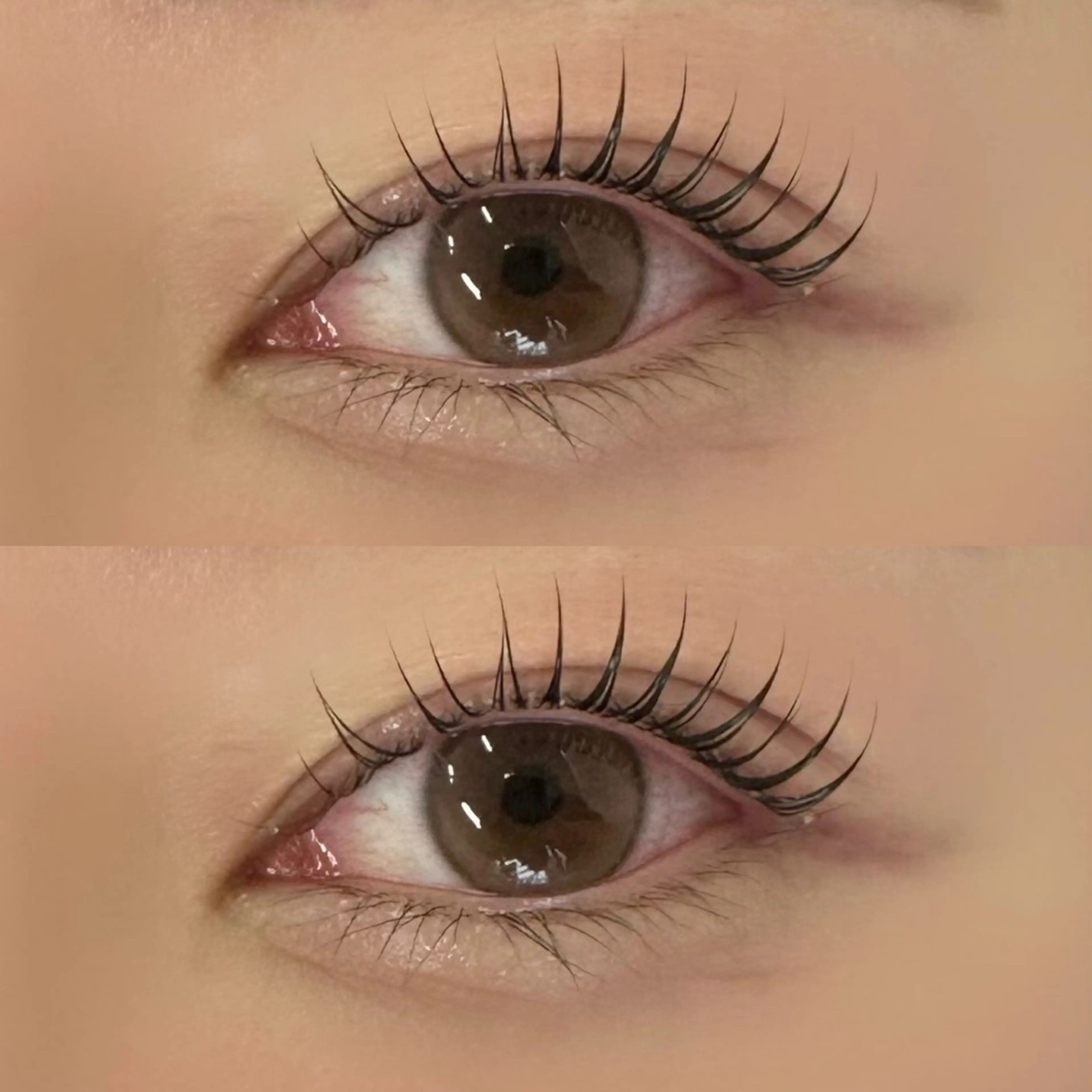 〖無料〗 10/1 14:30限定　アイブロウスタイリング×まつ毛パーマの写真