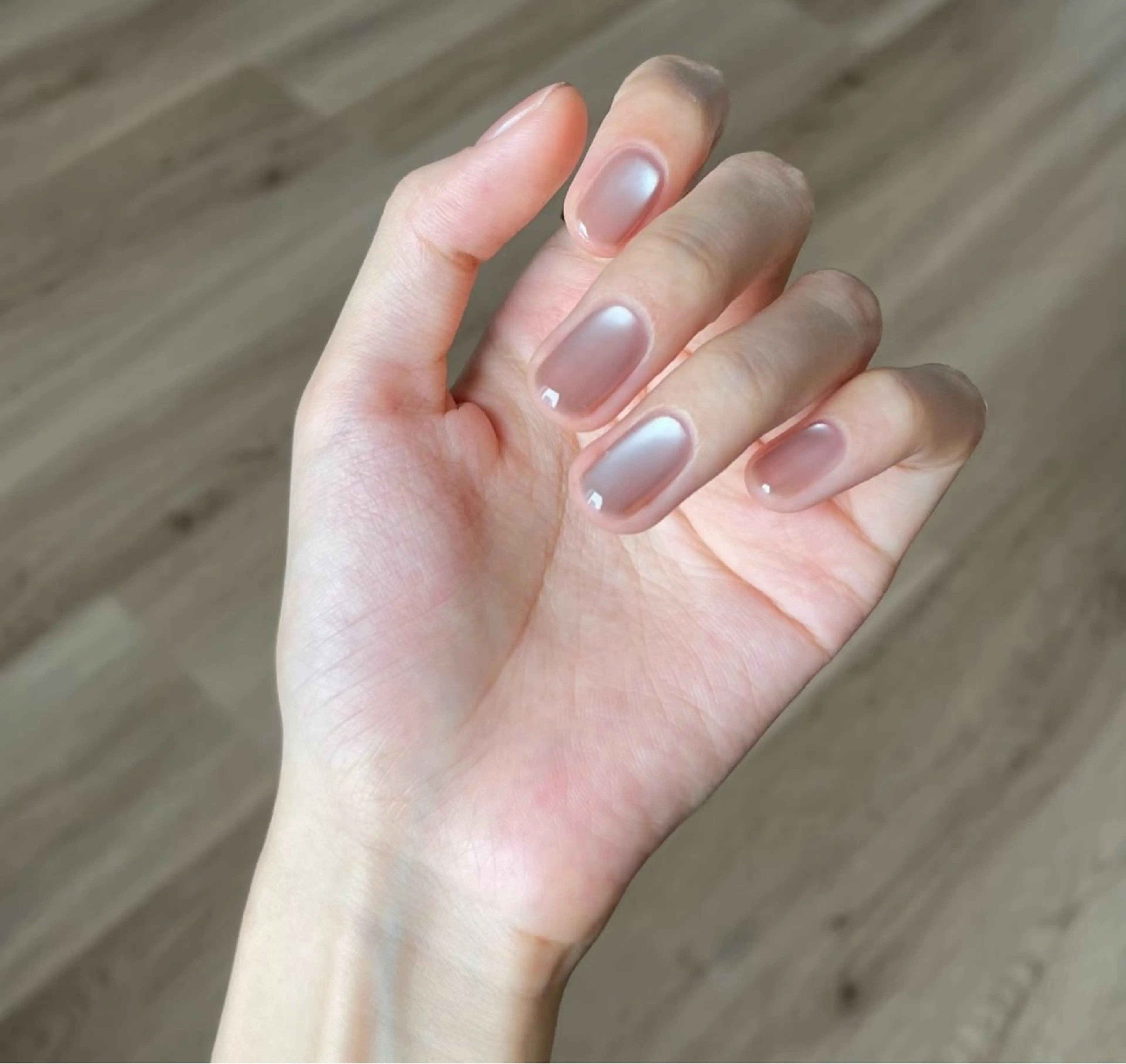 マグネット【オフあり】の写真