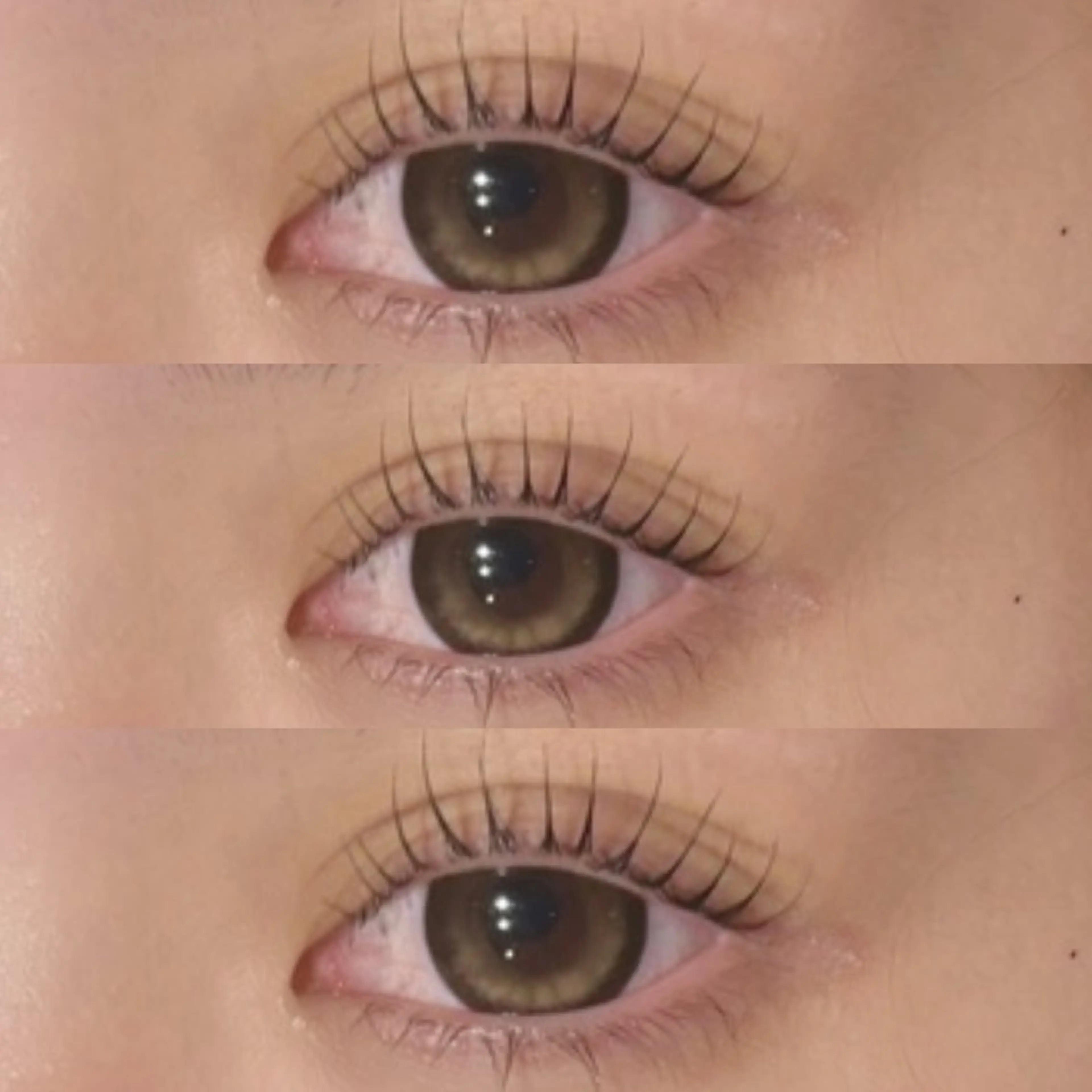 【２回目既存様menu♡】　eyelash perm🐾🍓の写真