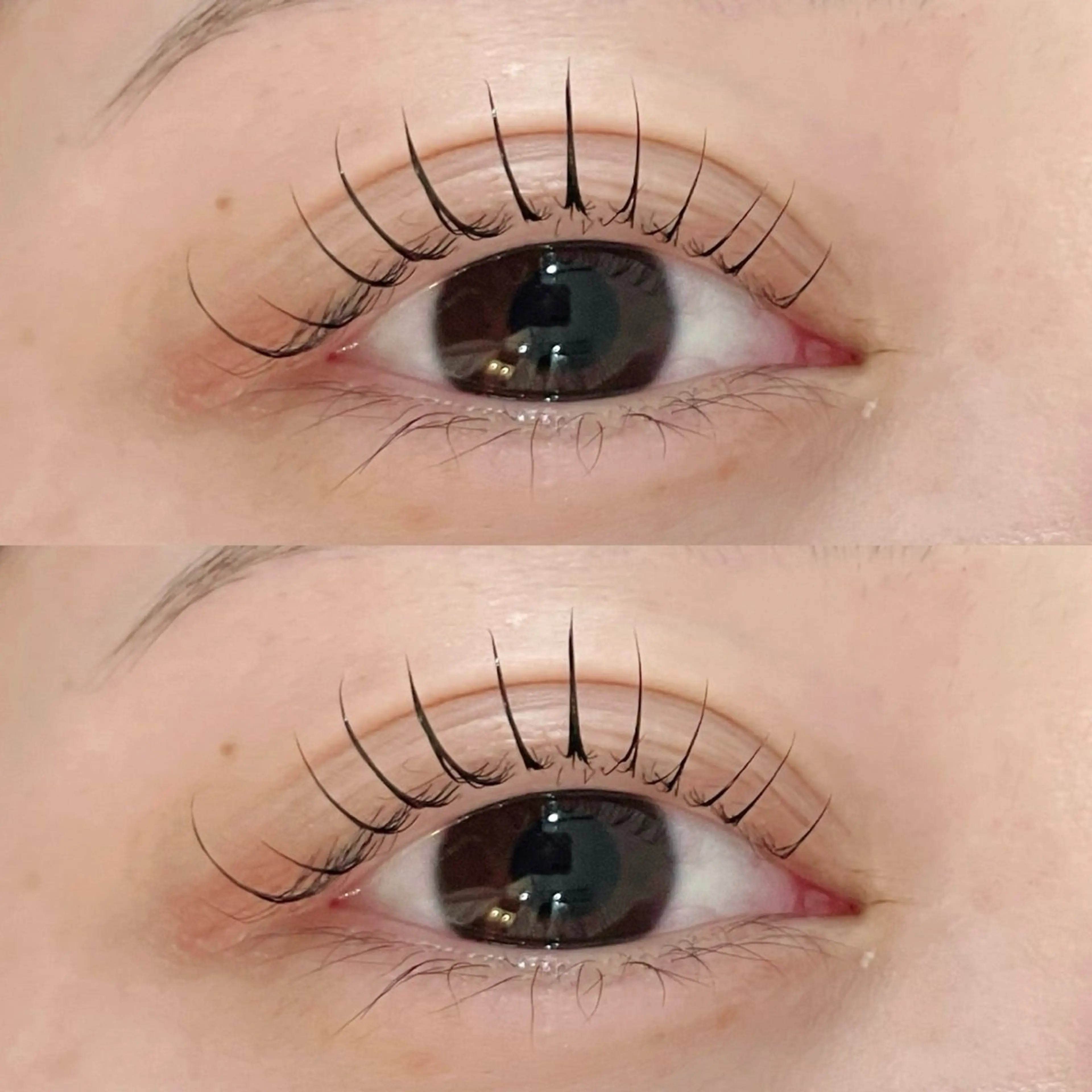 マツエク・マツパ 𓂃cocoro 𓅹𓈒𓂂𓏸のマツエク・マツパデザイン