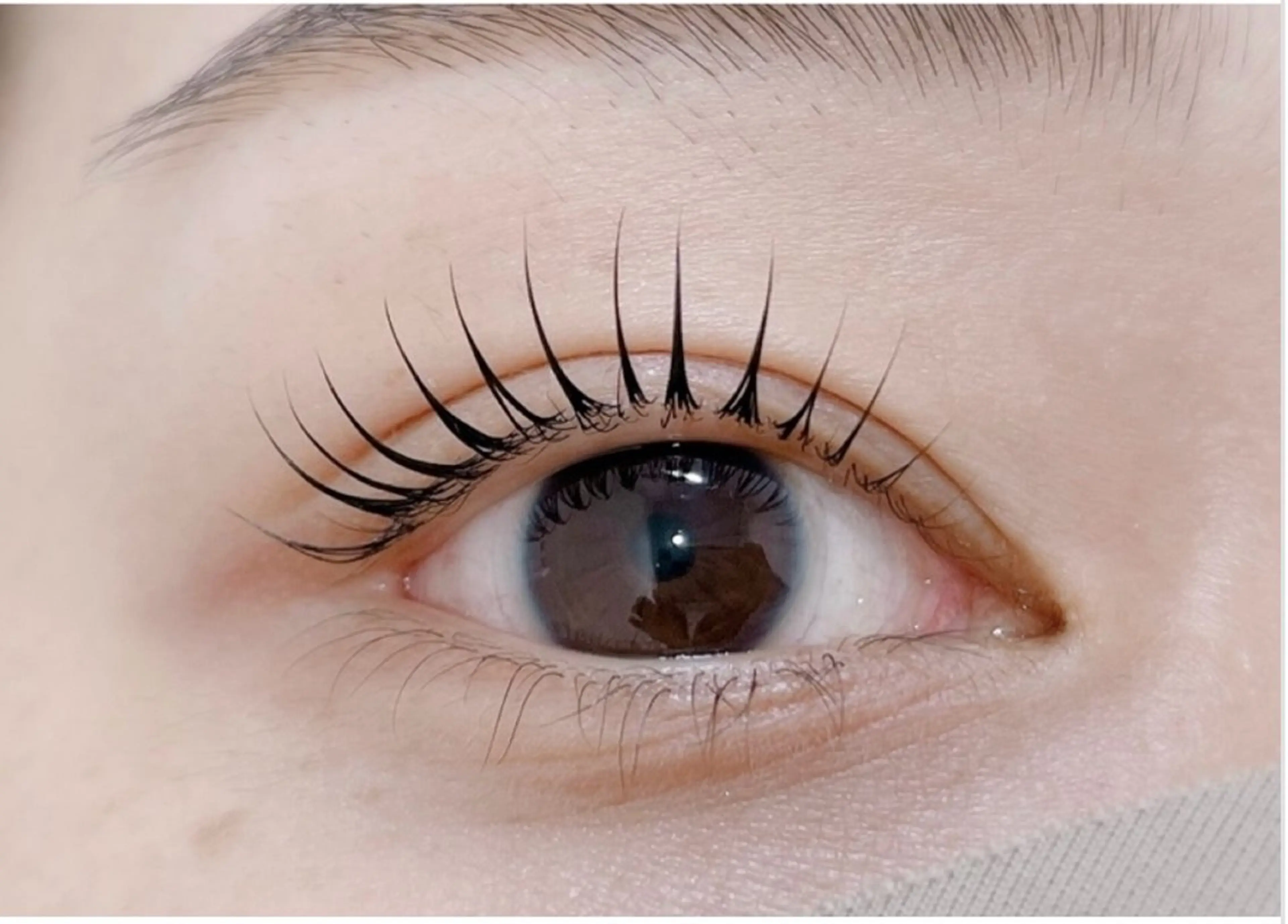 🩶ᩚ🤍ᩚ学割U24 🌸ラッシュリフトの写真