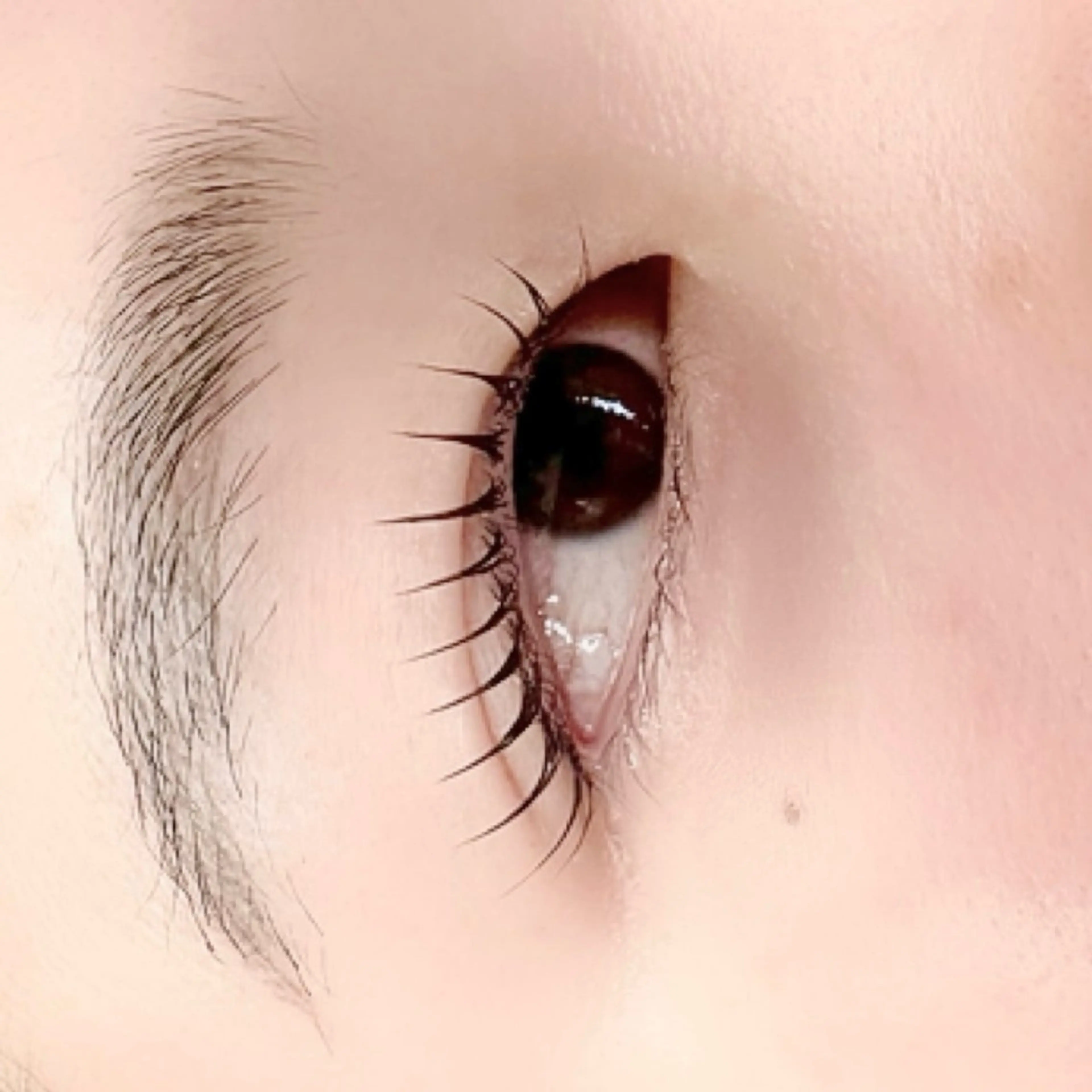 マツエク・マツパ マツパ ビューティーサロン NAVY（ネイビー）のマツエク・マツパデザイン