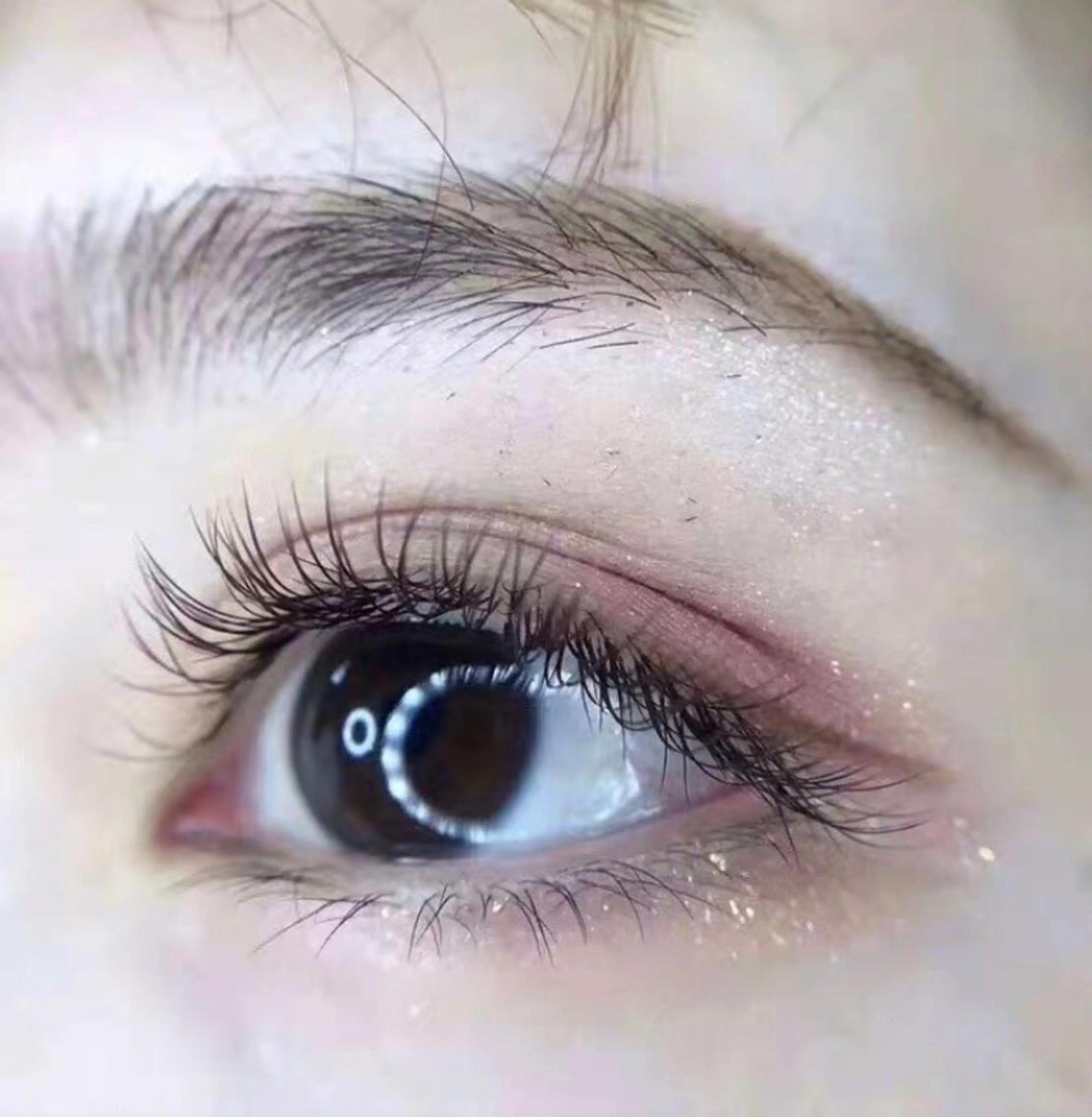 マツエク・マツパ セーブル Livnus リブナスのマツエク・マツパデザイン