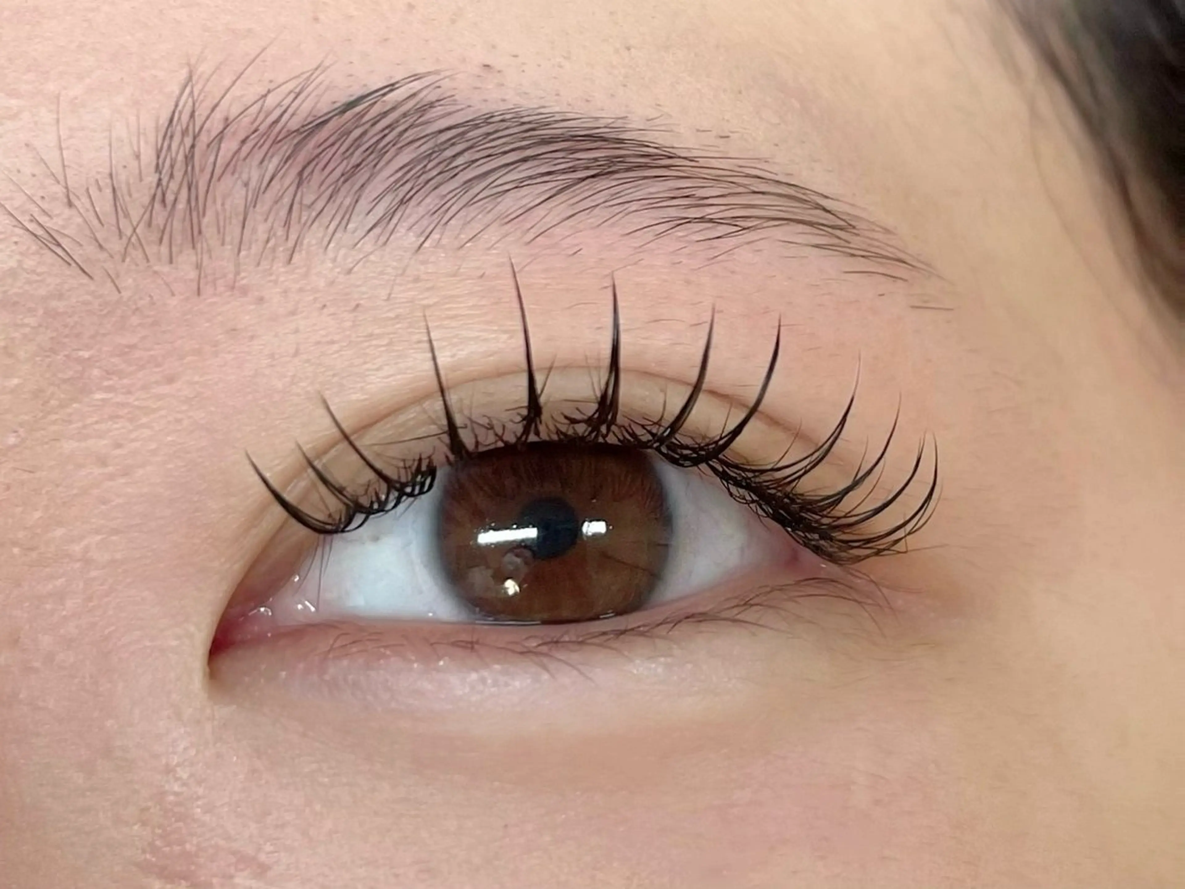 マツエク・マツパ knoman 中目黒【ノマン】のマツエク・マツパデザイン