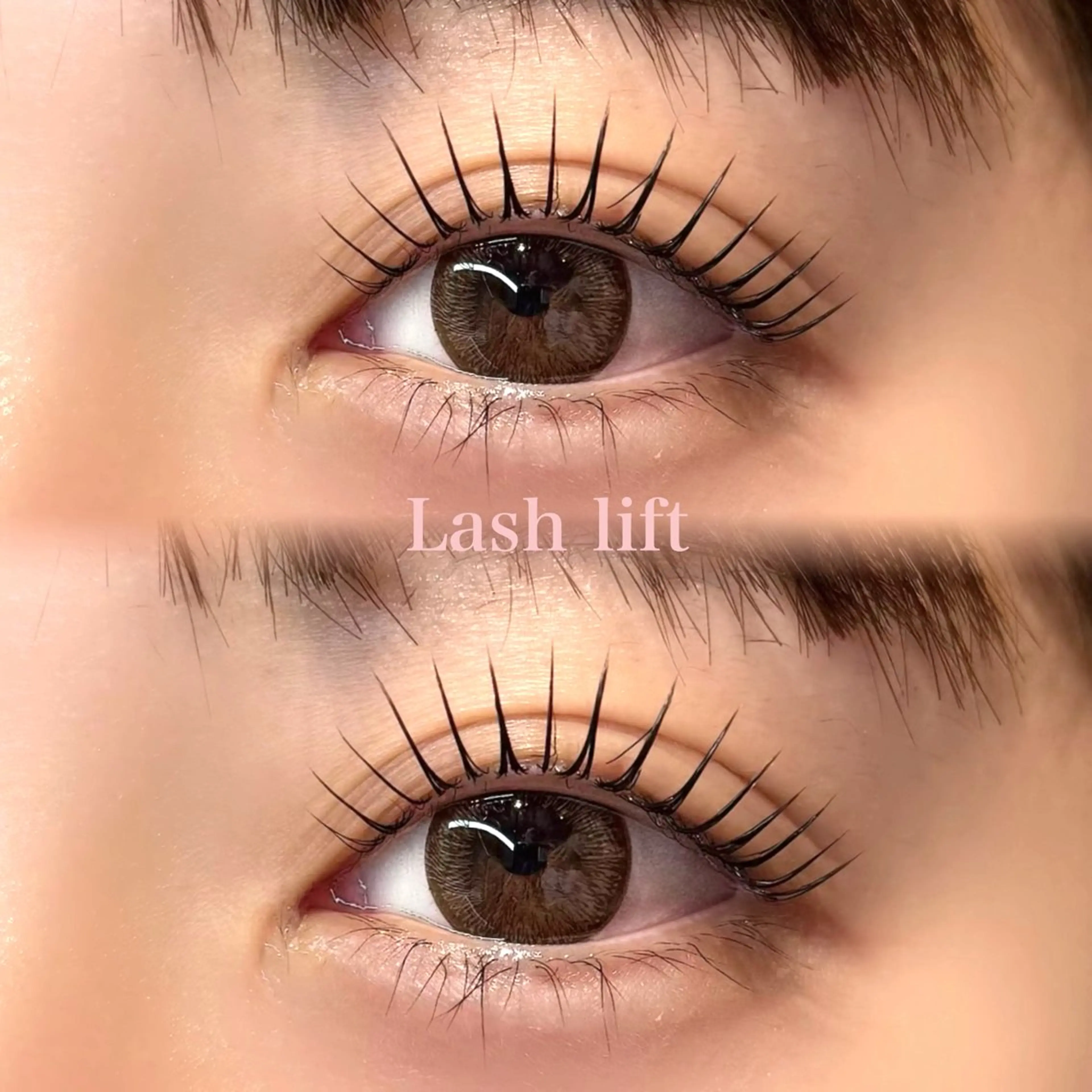 🎀大人気🎀韓国マスカラパーマ+コーティング仕上げ付 ¥6,500の写真