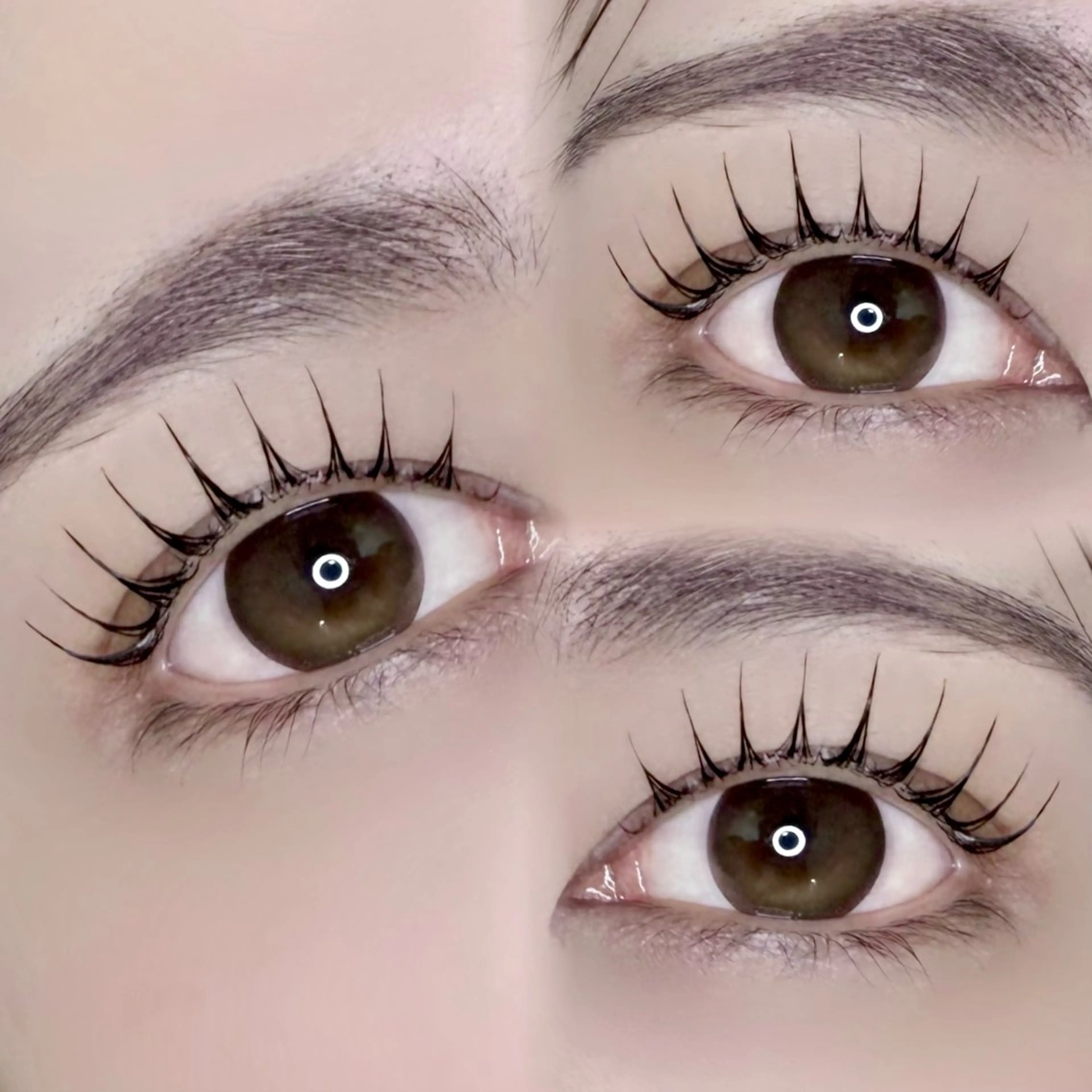 【当日限定🌈】まつ毛パーマorパリジェンヌ（ケラチントリートメント付き）の写真