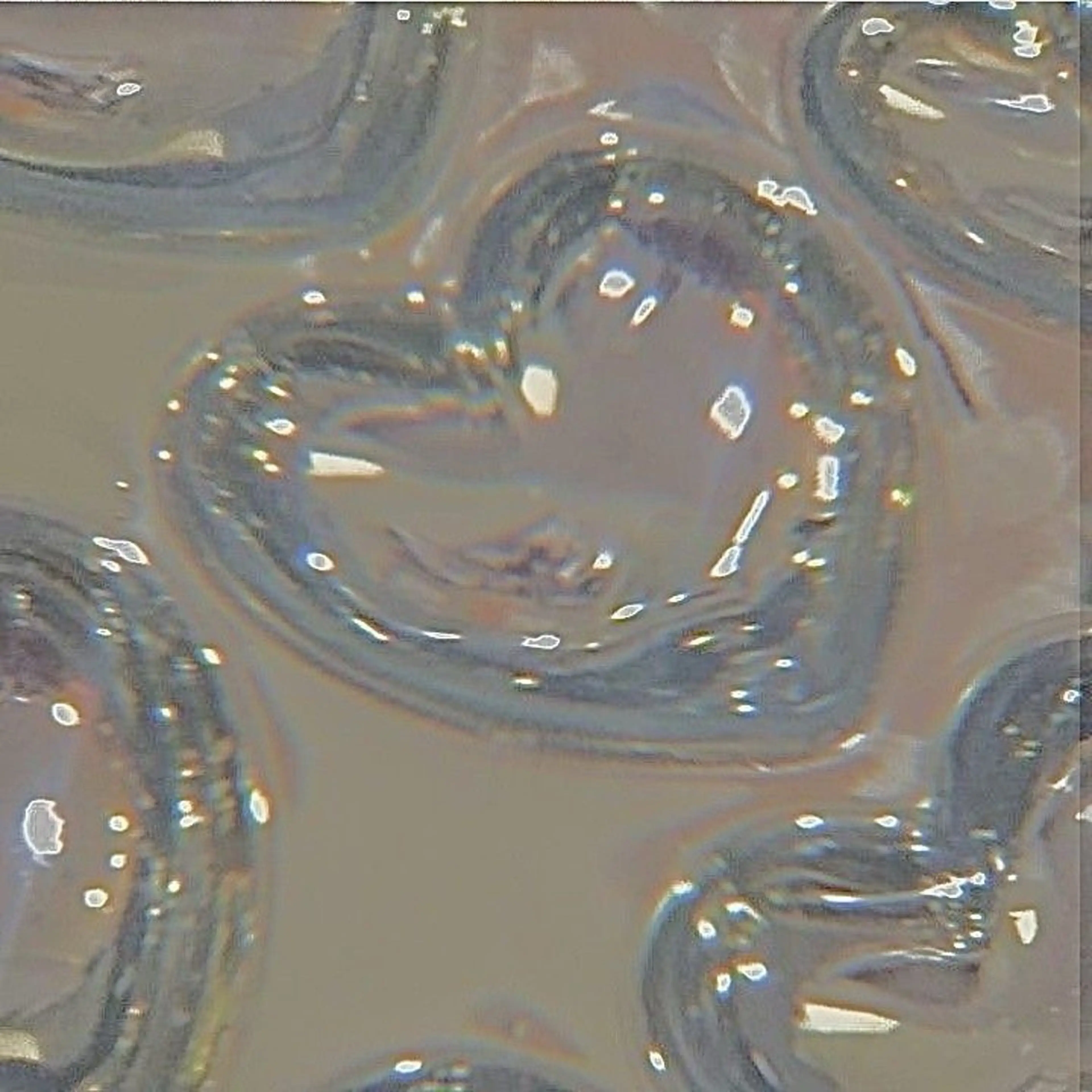 ''お試し価格'' Lカール120本🩰🤍の写真