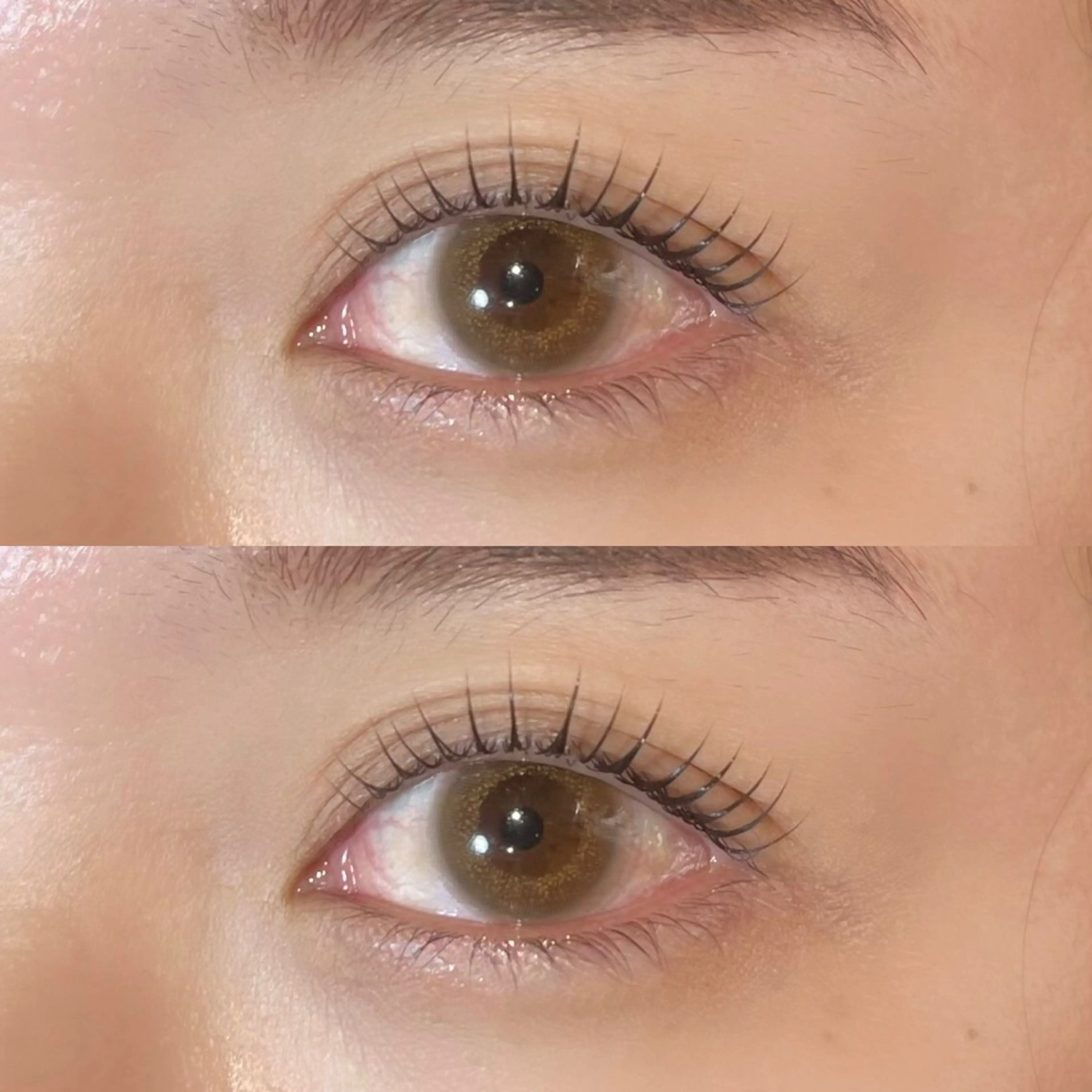 マツエク・マツパ 𝒆𝒊𝒈𝒉𝒕 杏花のマツエク・マツパデザイン