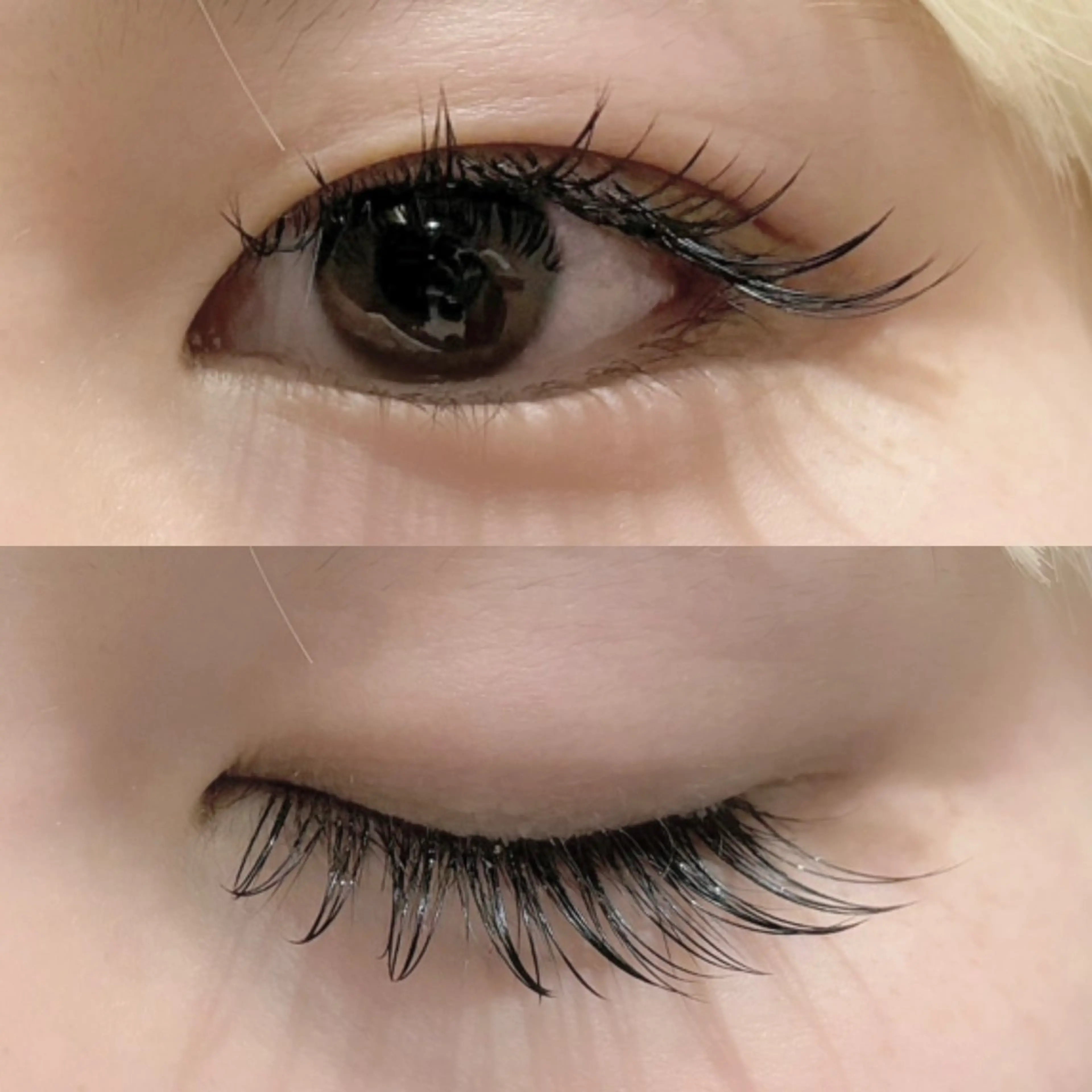 マツエク・マツパ Cカール セーブル Dolly Lash 松本のマツエク・マツパデザイン