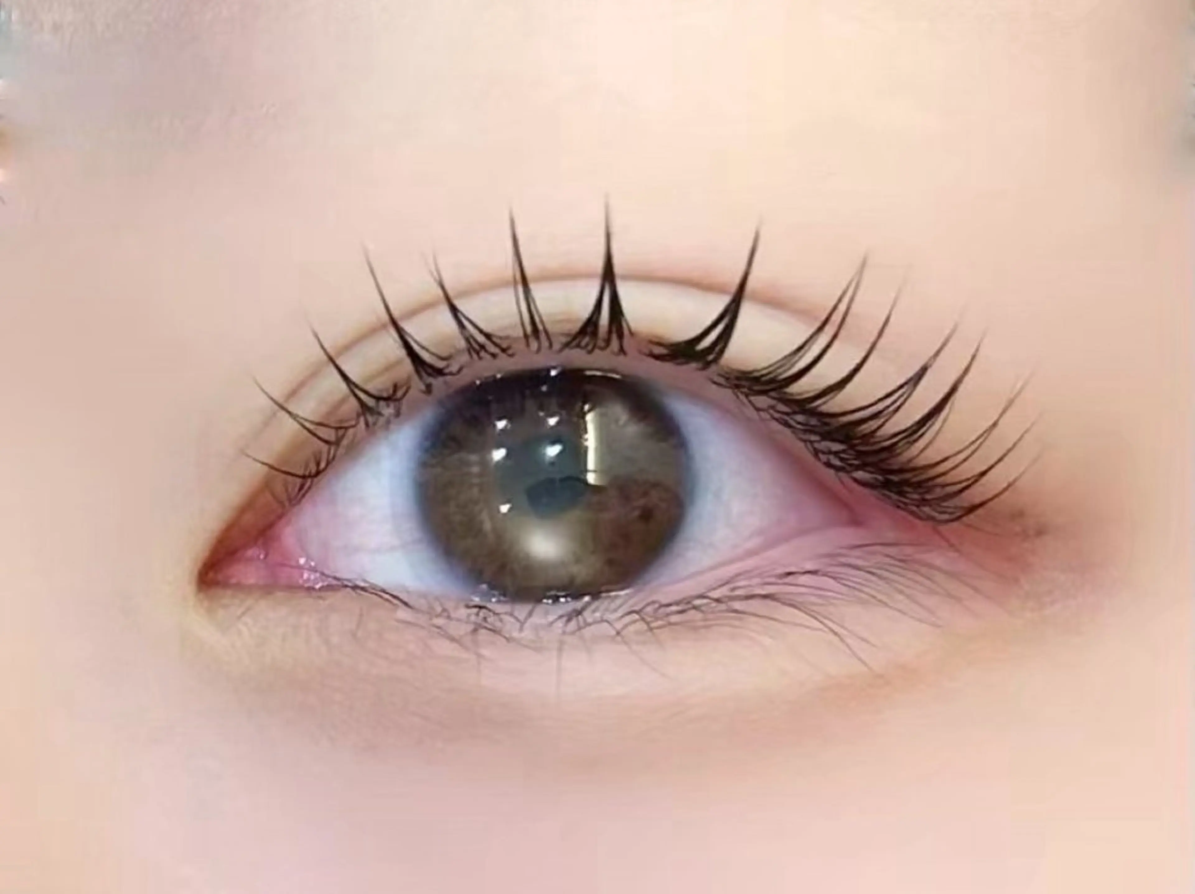 まつパモデルの写真