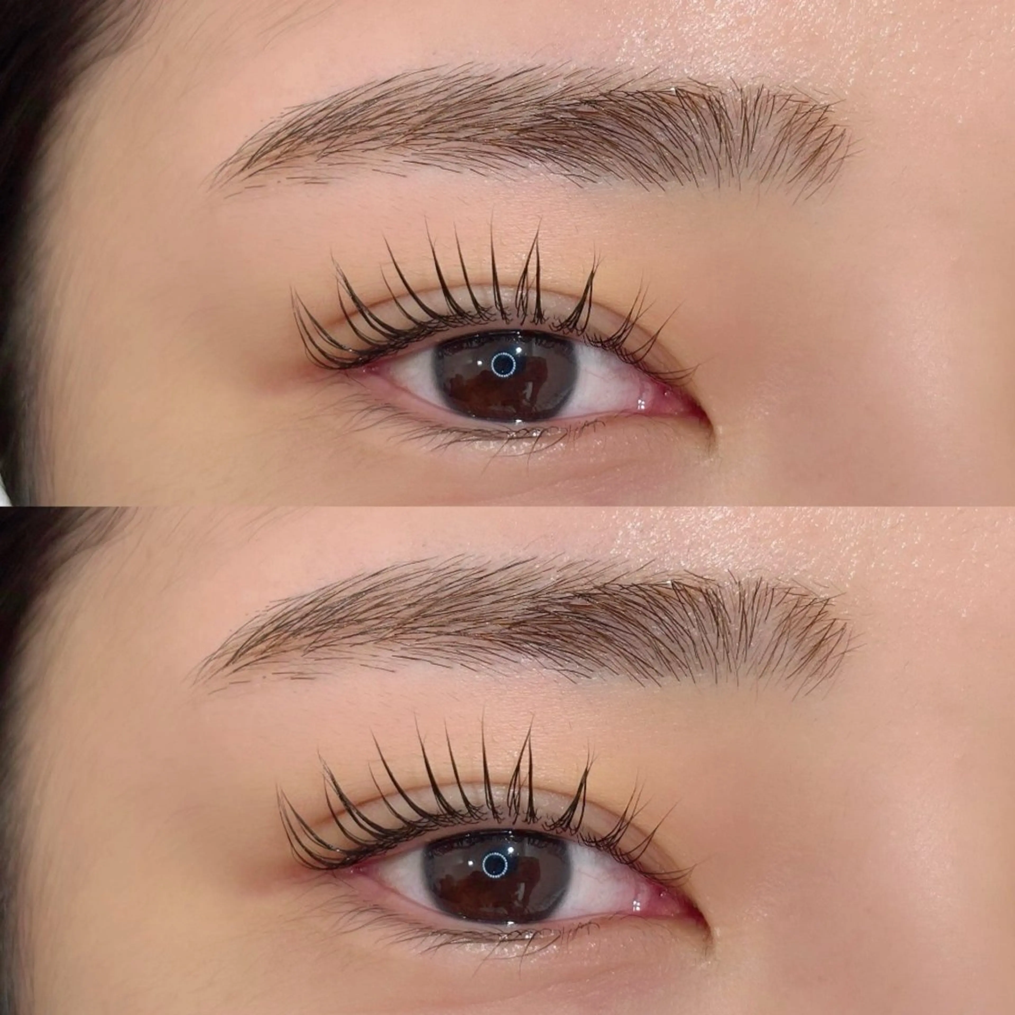 U24🌸ミニモ学割🌸パリジェンヌラッシュリフト&アイブロウワックスの写真