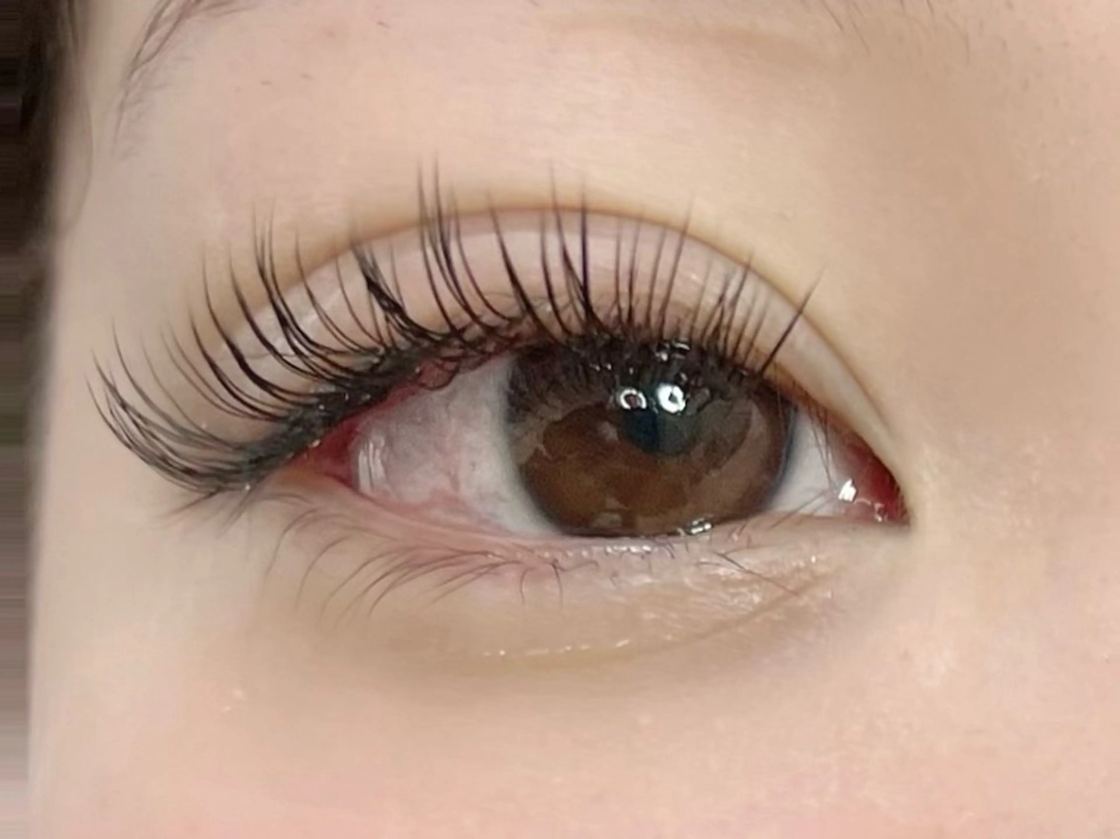 マツエク・マツパ まつ毛の専門家eyelash Eagle所属・eyelash Eagleのマツエク・マツパデザイン