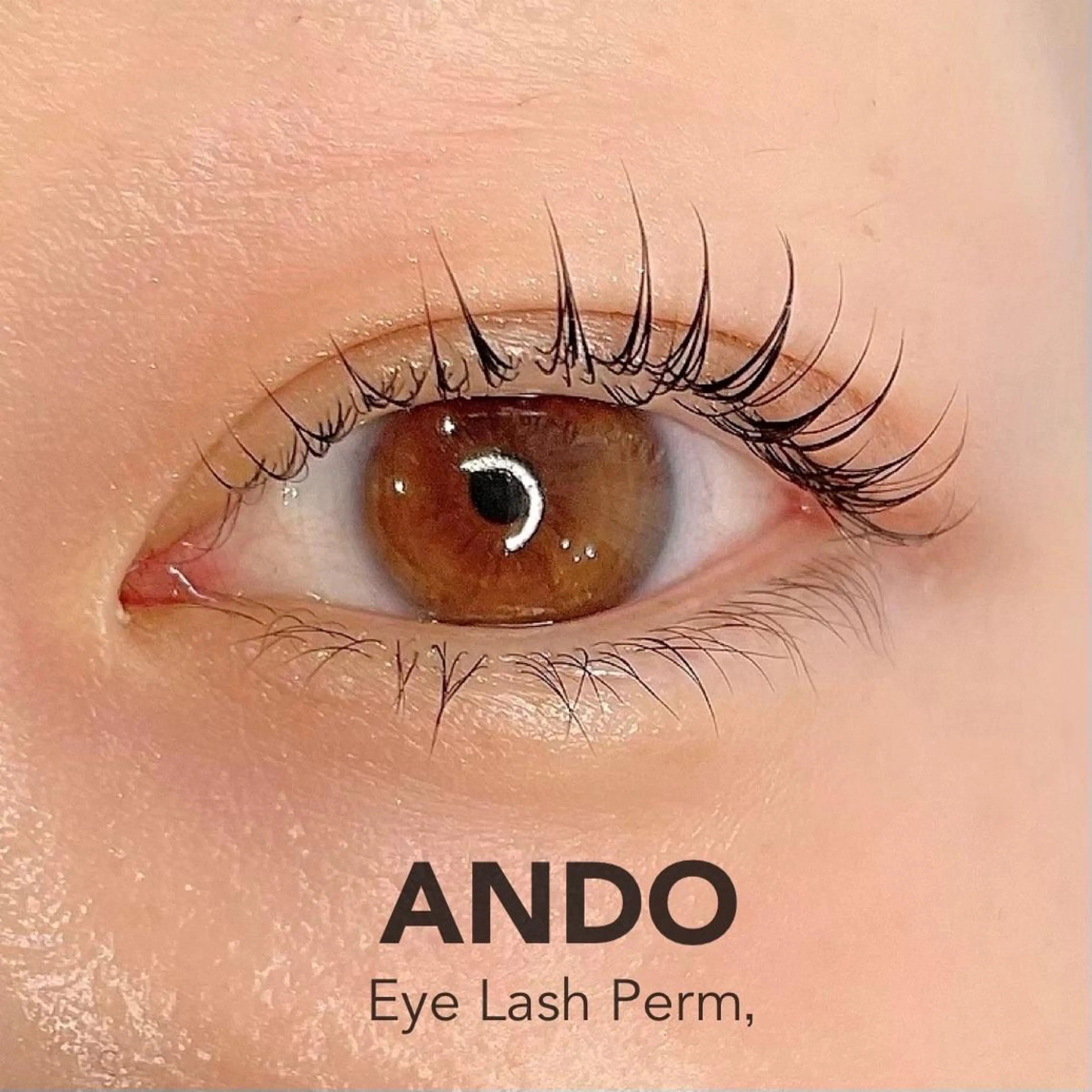 マツエク・マツパ マツパ ANDO HIKARIのヘアスタイル