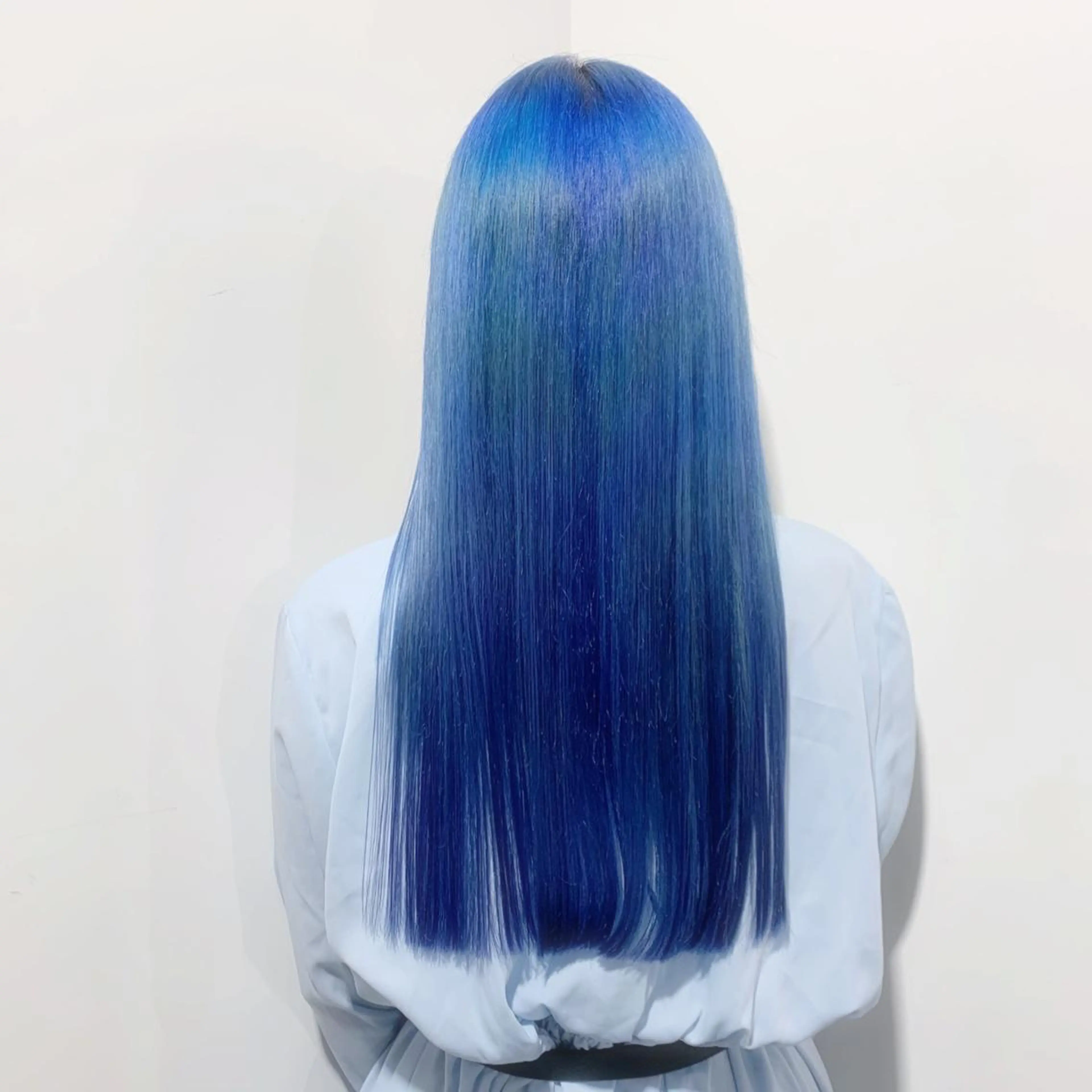 ロング カラー アディクシーカラー ベージュカラー 黒髪 ブリーチ ブルーカラー ヘアカラー 藤澤 夏実/インナーカラーのヘアスタイル
