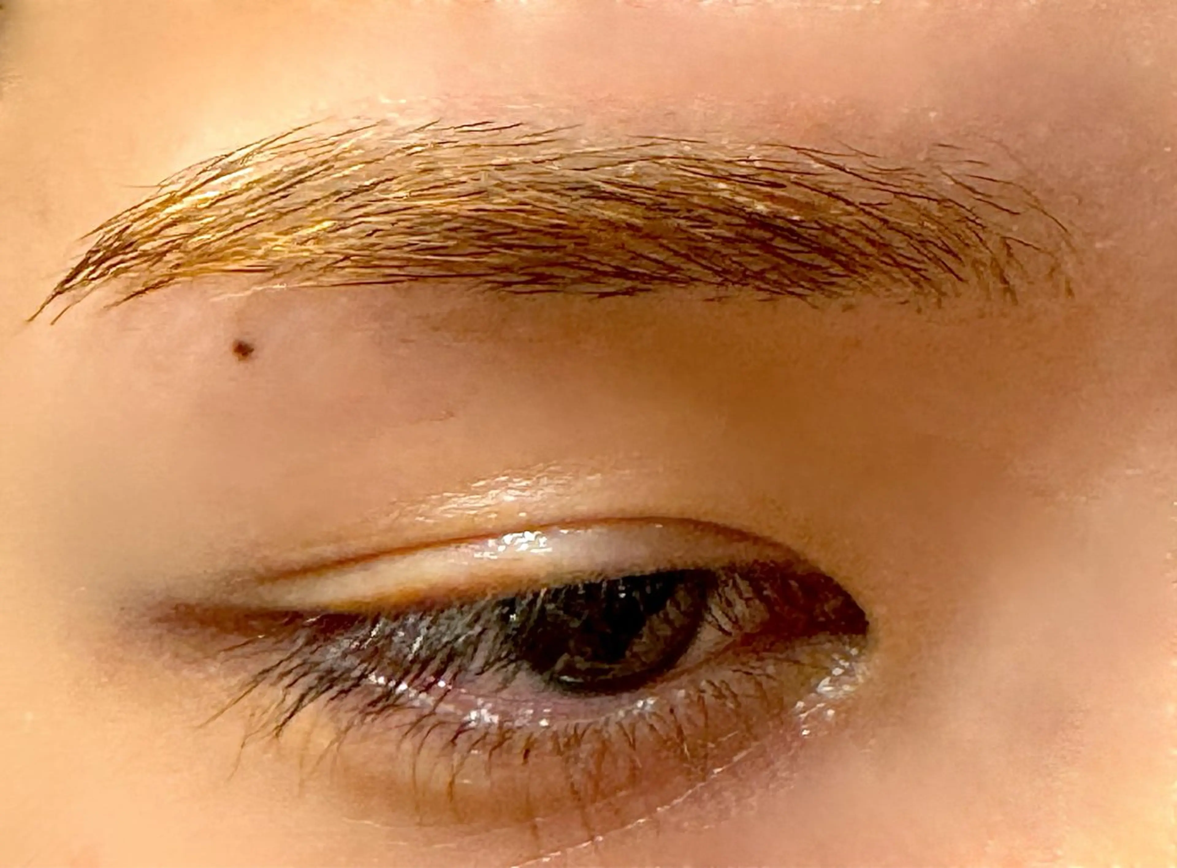 アイブロウ Hau’oli所属・Hau’oli Hirayamaの眉毛・アイブロウイメージ