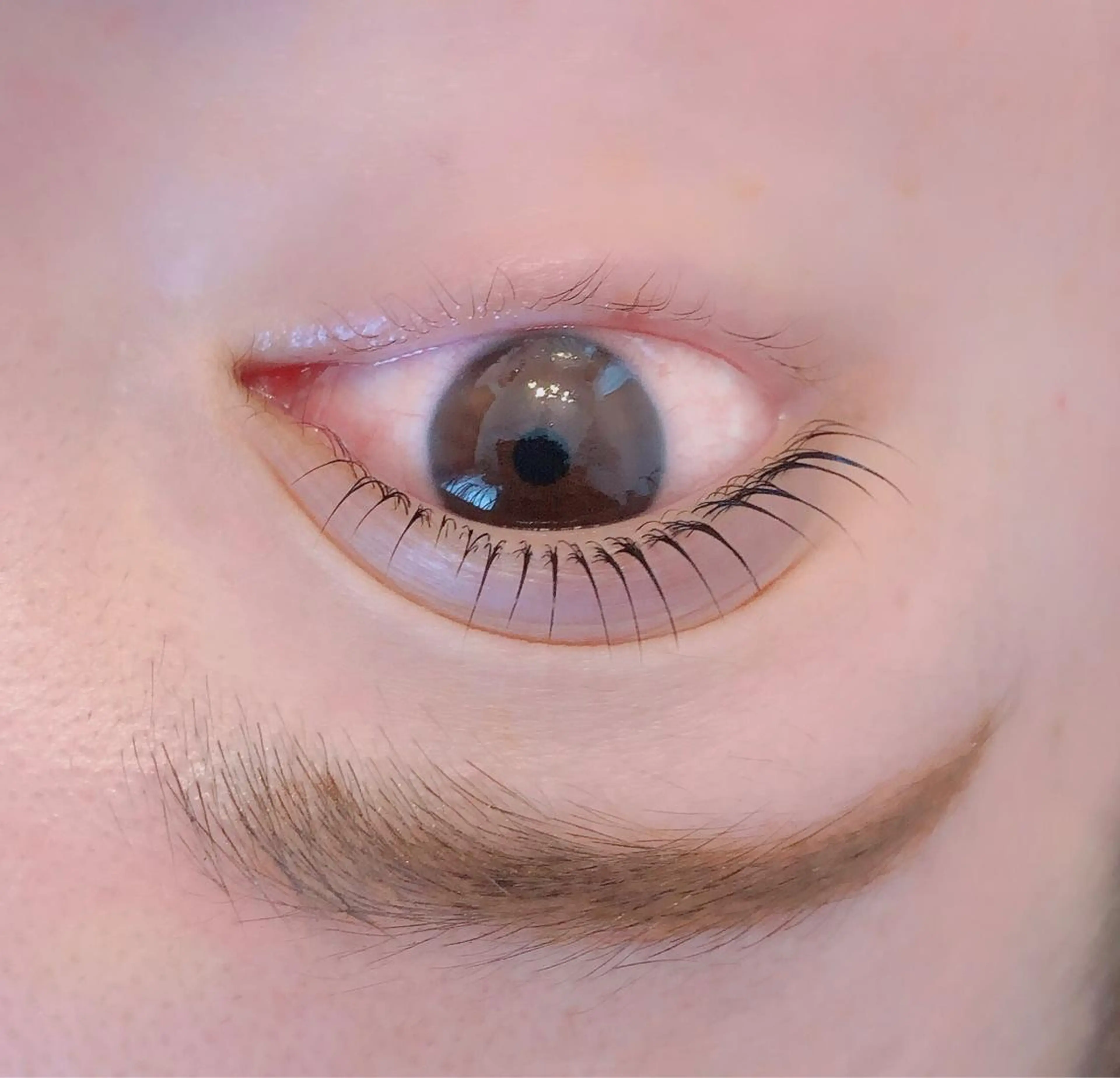 マツエク・マツパ eyelash/eyebrow　salon Fika所属・水軒 朋美のマツエク・マツパデザイン