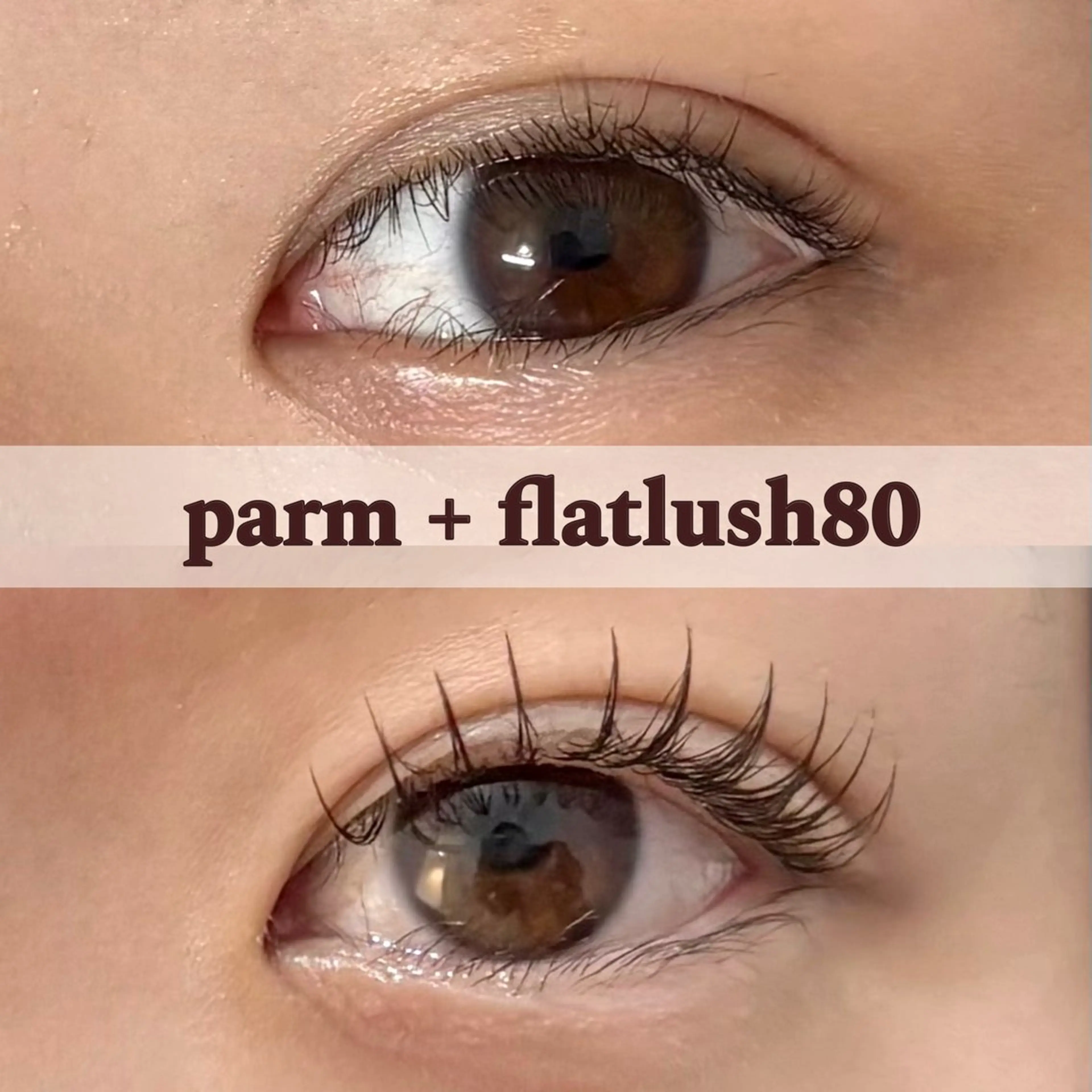 マツエク・マツパ Dealo京橋店所属・シノ🌿 / Dealo京橋店のマツエク・マツパデザイン