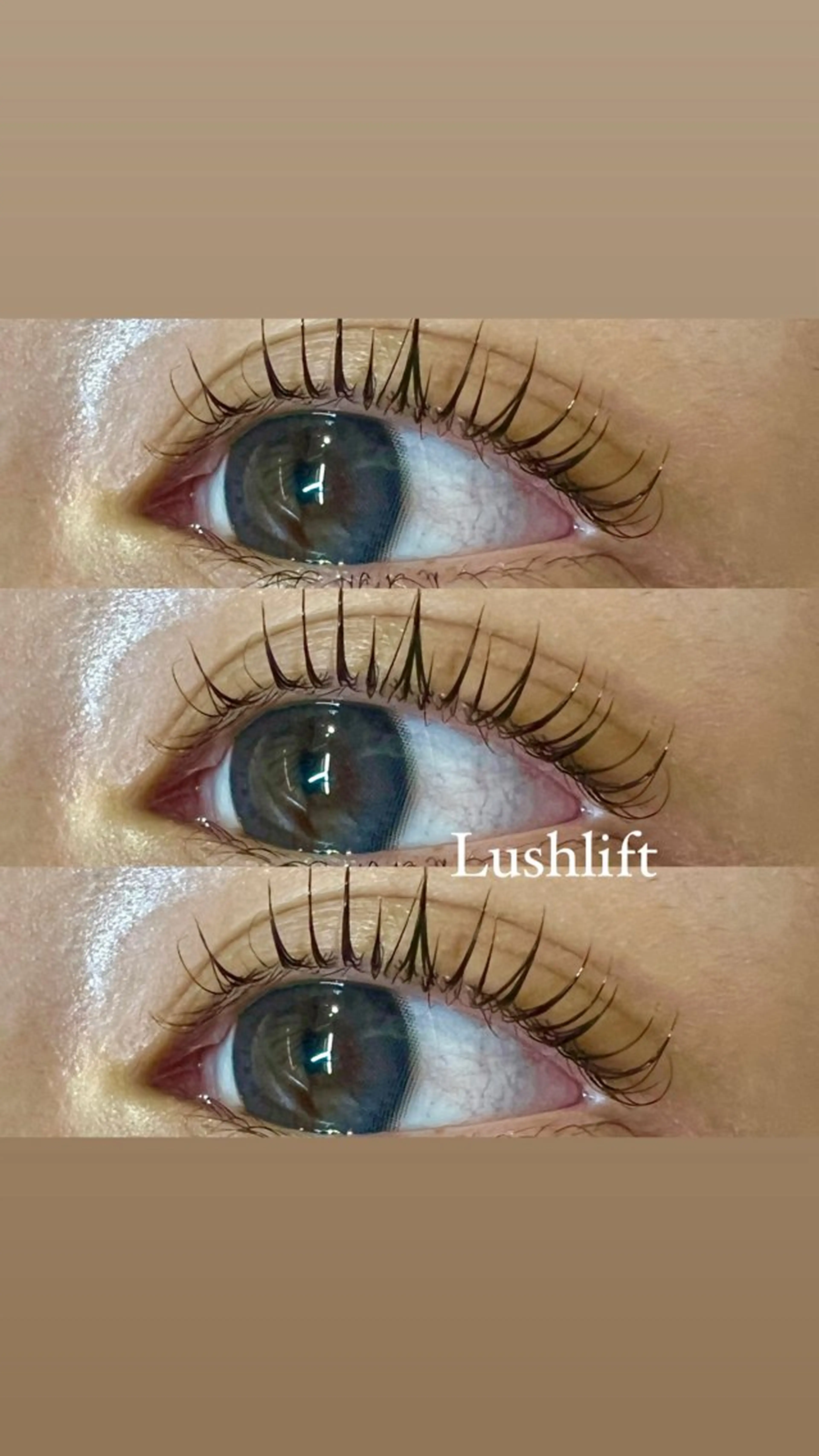 【ケラチントリートメント+アイシャンプー付き】ラッシュリフト🤍🎀の写真