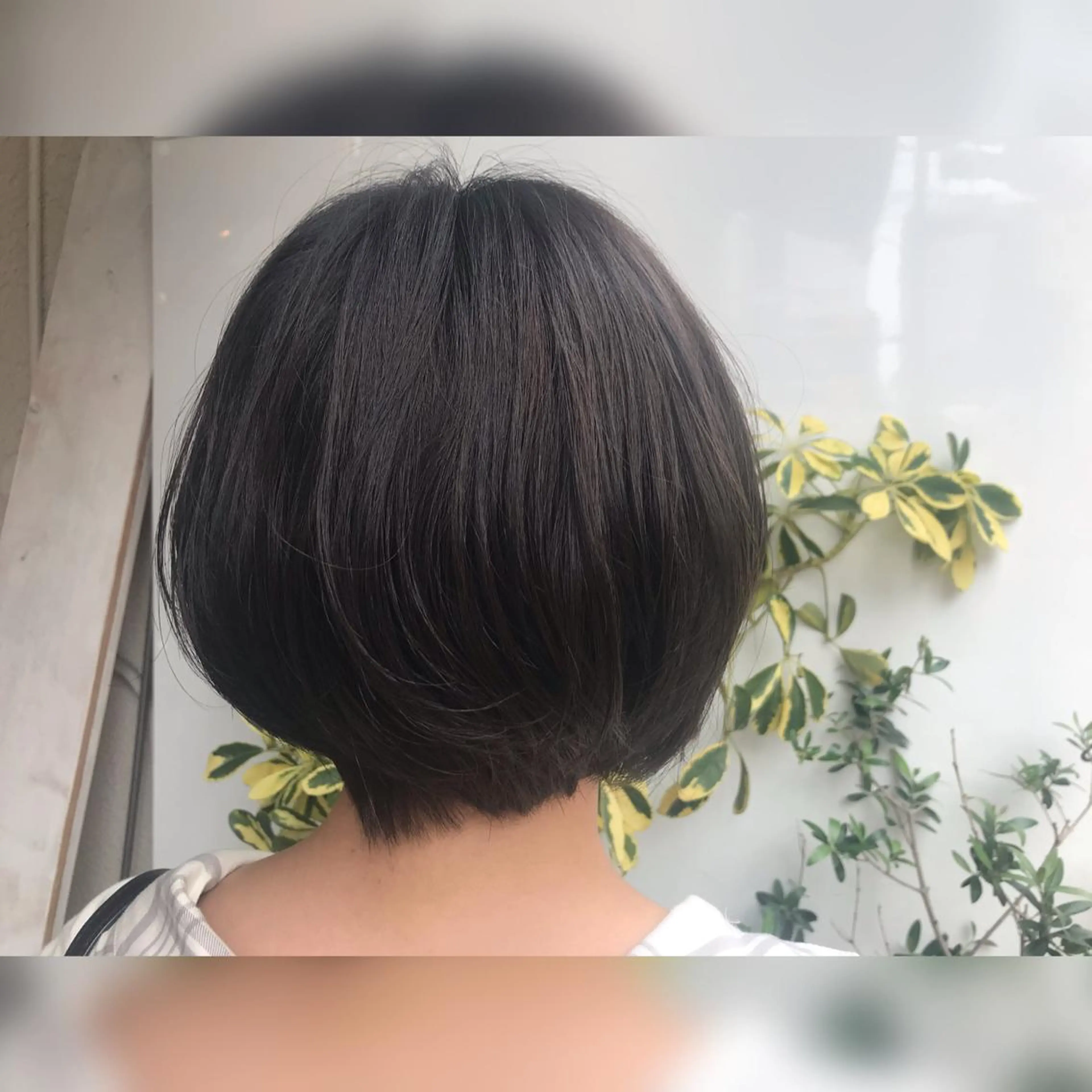 ショート カラー アッシュ マイ 【川口】のヘアスタイル