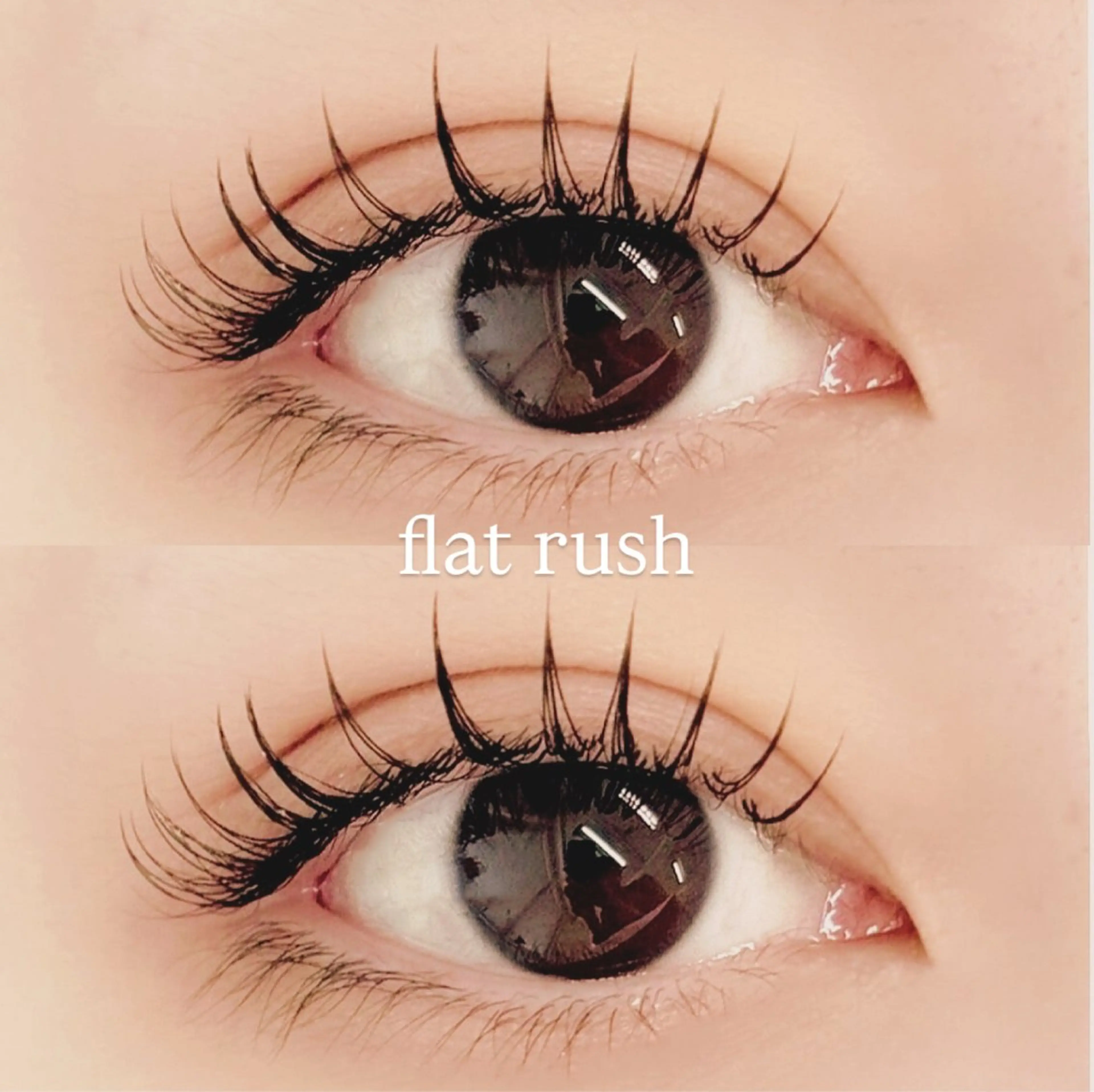 (オフ込み)フラットラッシュ🕊️上160本までの写真