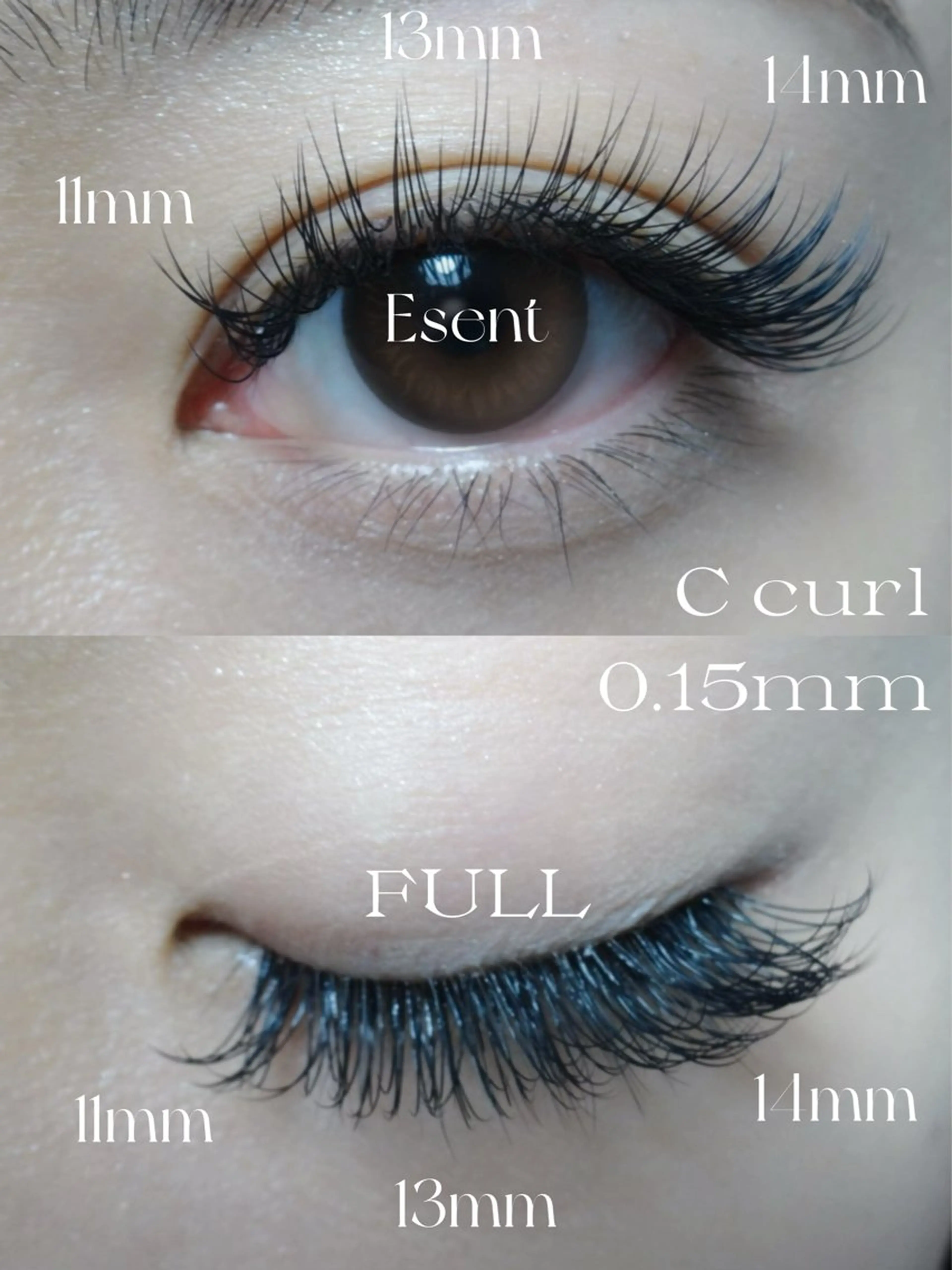 マツエク・マツパ マツエク Total Beauty Esent所属・Esent🎀 Hiiのマツエク・マツパデザイン