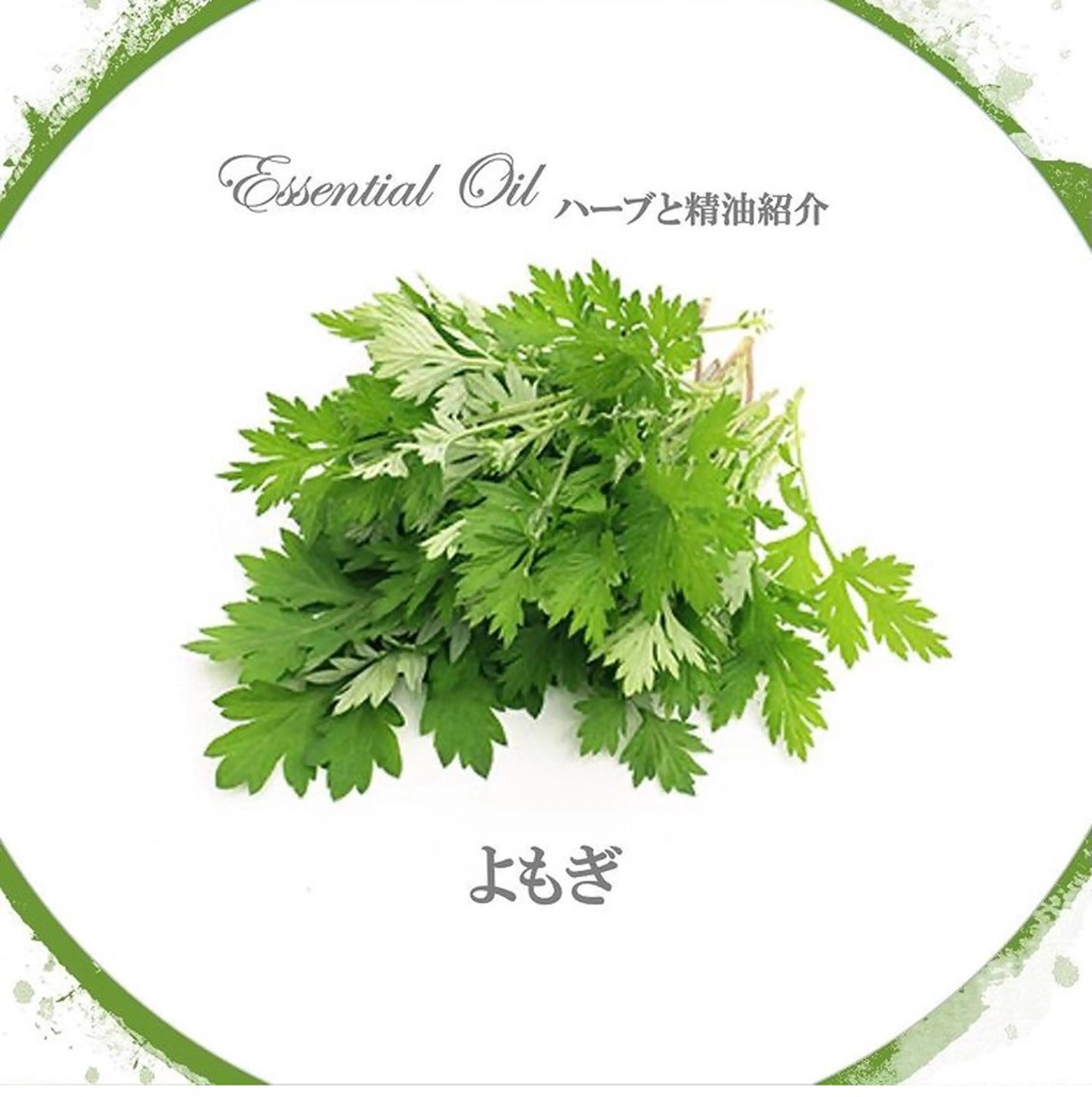 香りの家ローズマリー 🌿アロマリンパのエステ・リラクイメージ