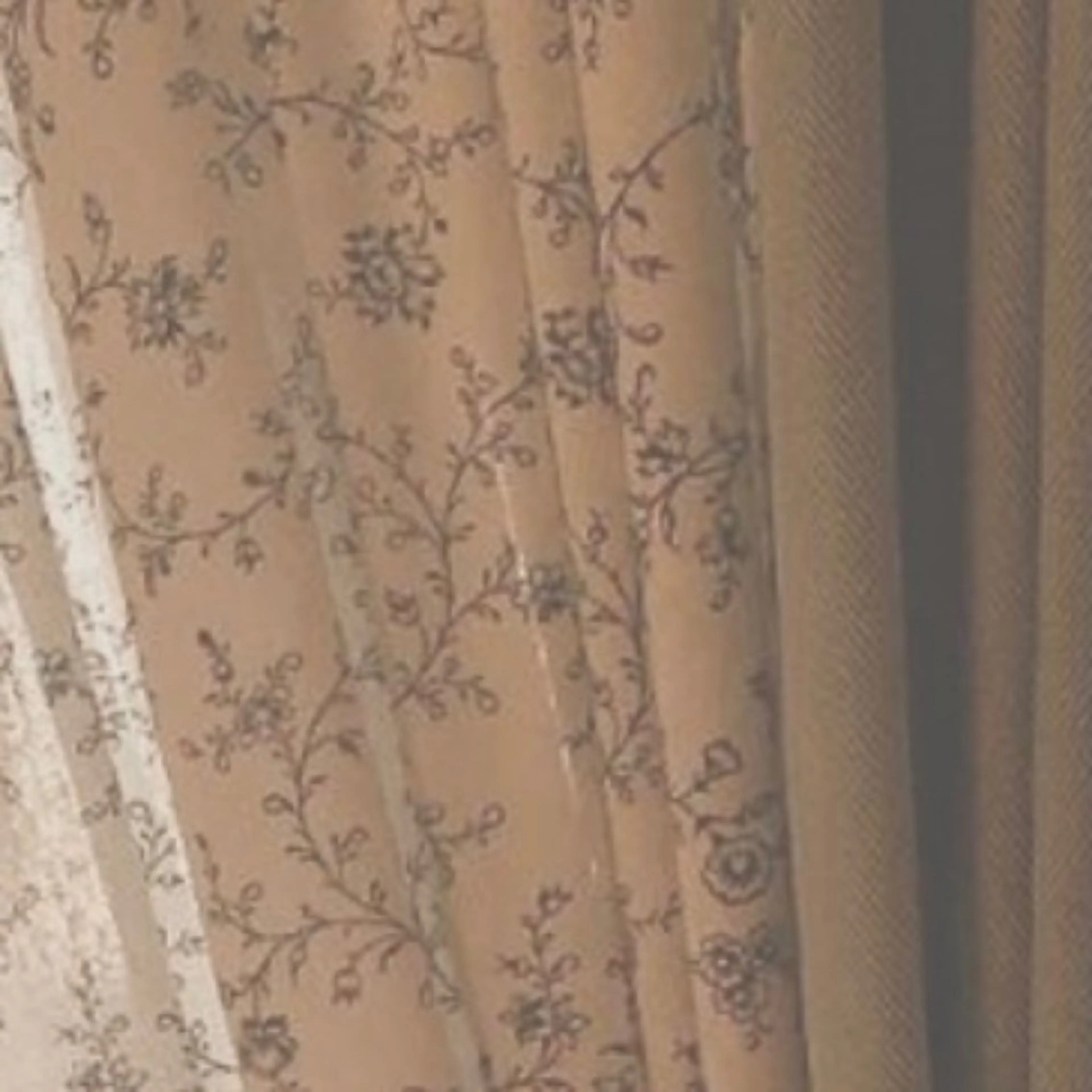 Eye Salon "Koa"【コア】所属・Eye Salon /まつ毛/眉毛のマツエク・マツパデザイン