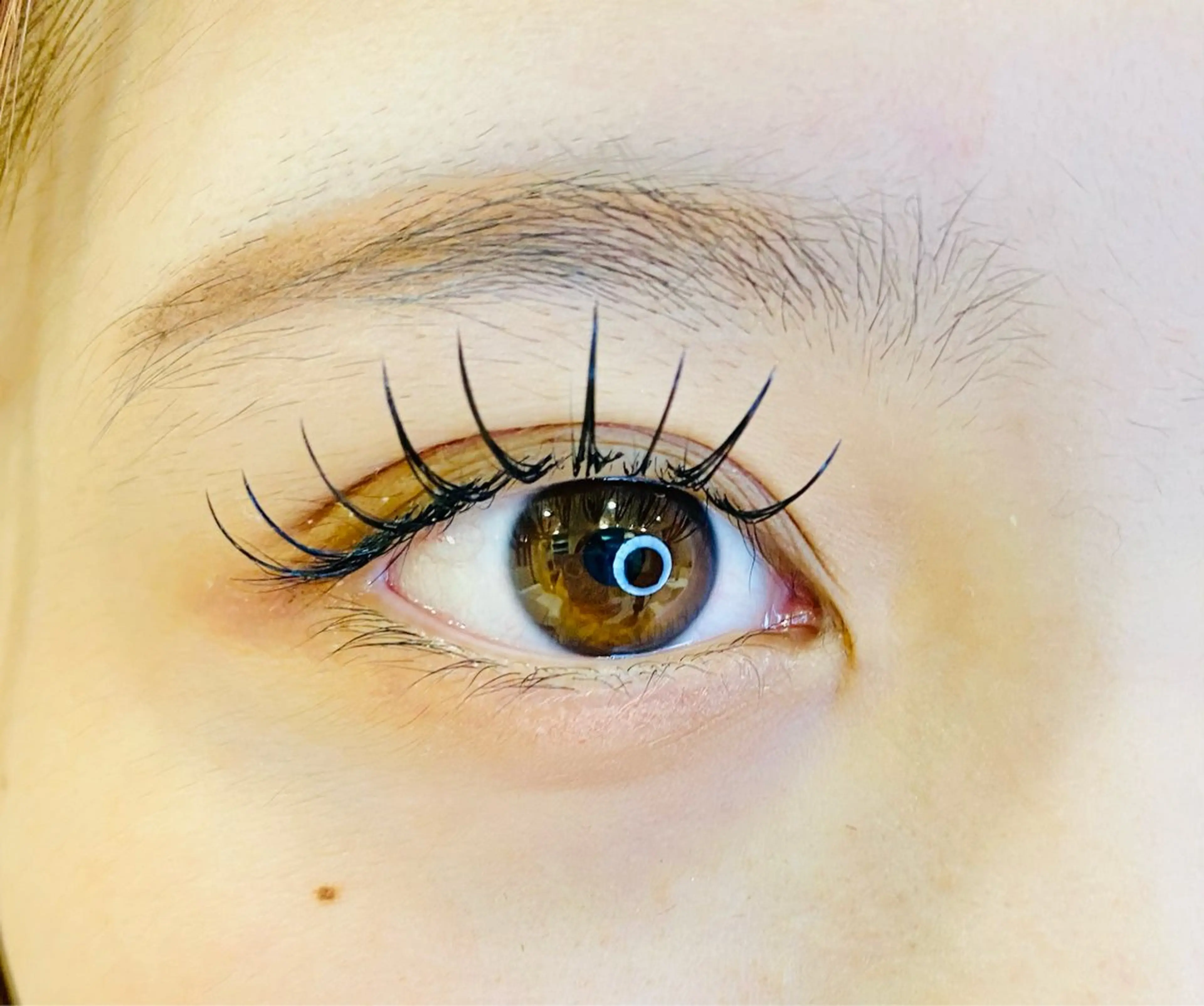 【オフ有り】フラットラッシュ80本の写真