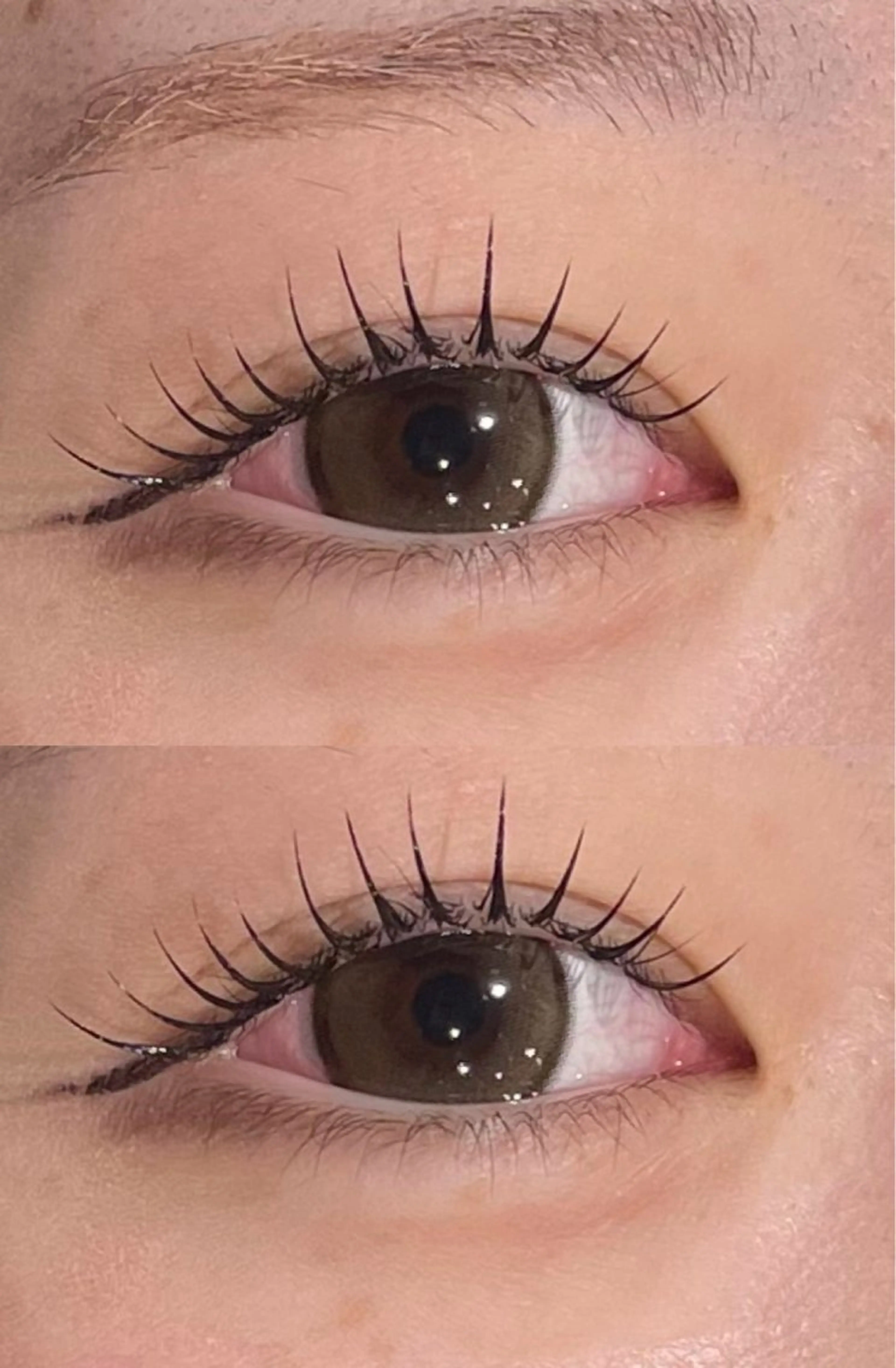 ♥ラッシュリフト(まつげパーマ) 現金支払いのみの写真