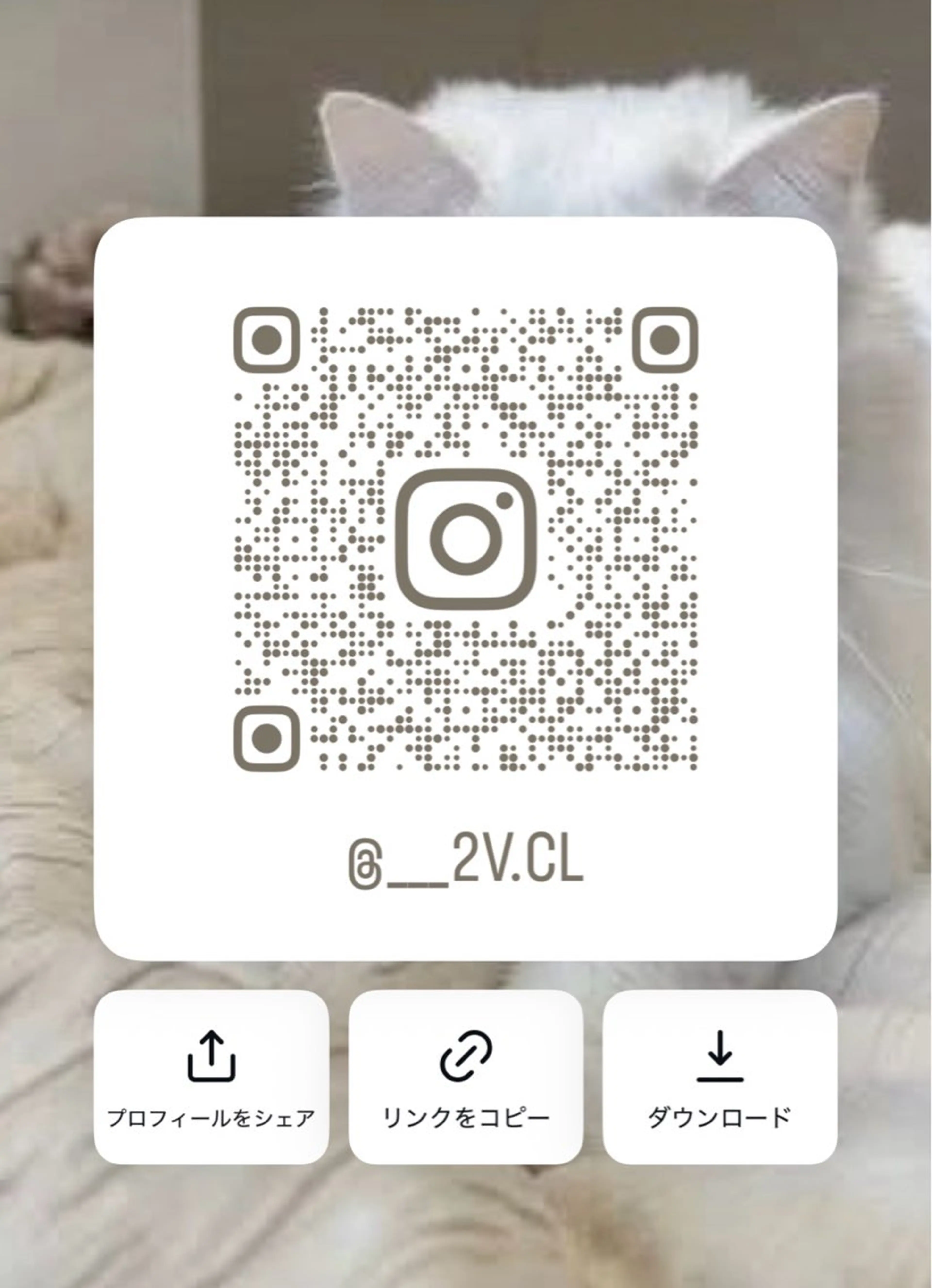 ヘアカラー トリートメント 新宿♡暖色カラー/ エクステ/スズ🍒のヘアスタイル