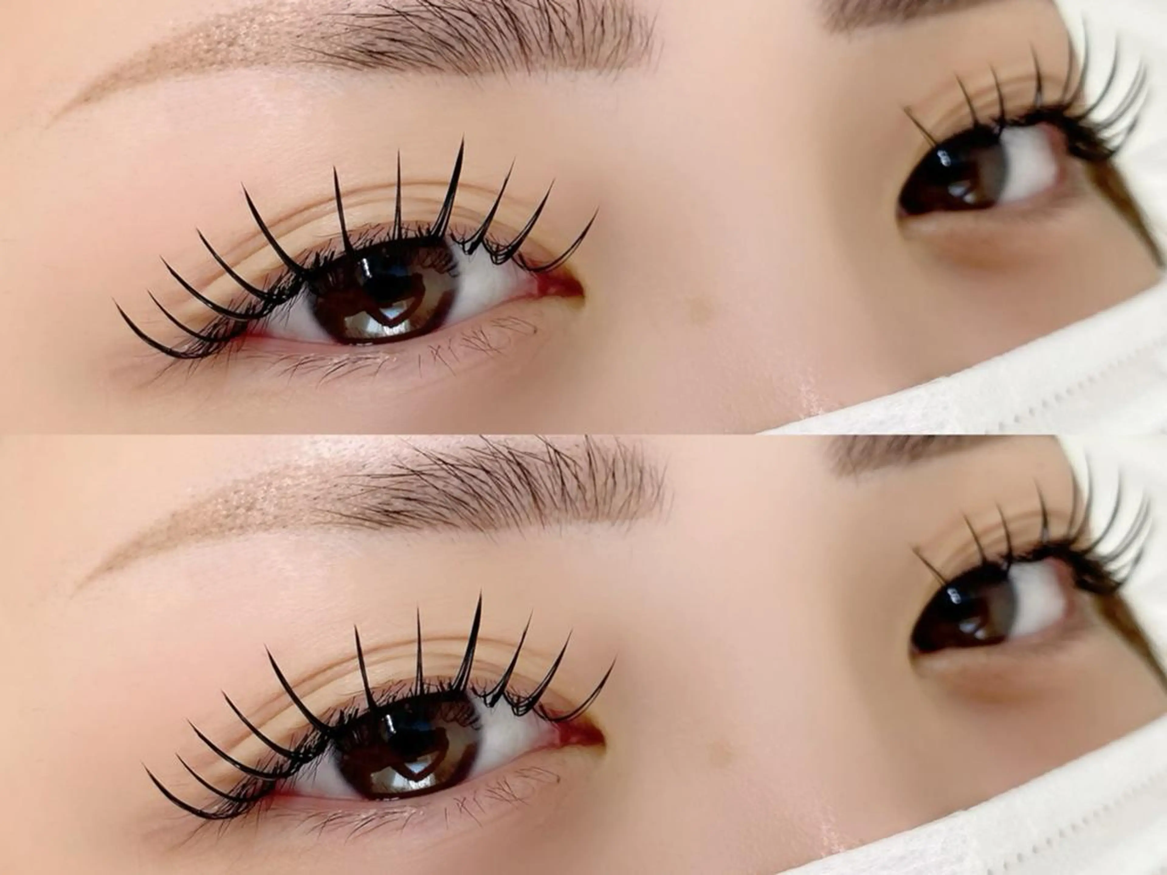 マツエク・マツパ マツエク tomte トムテのマツエク・マツパデザイン