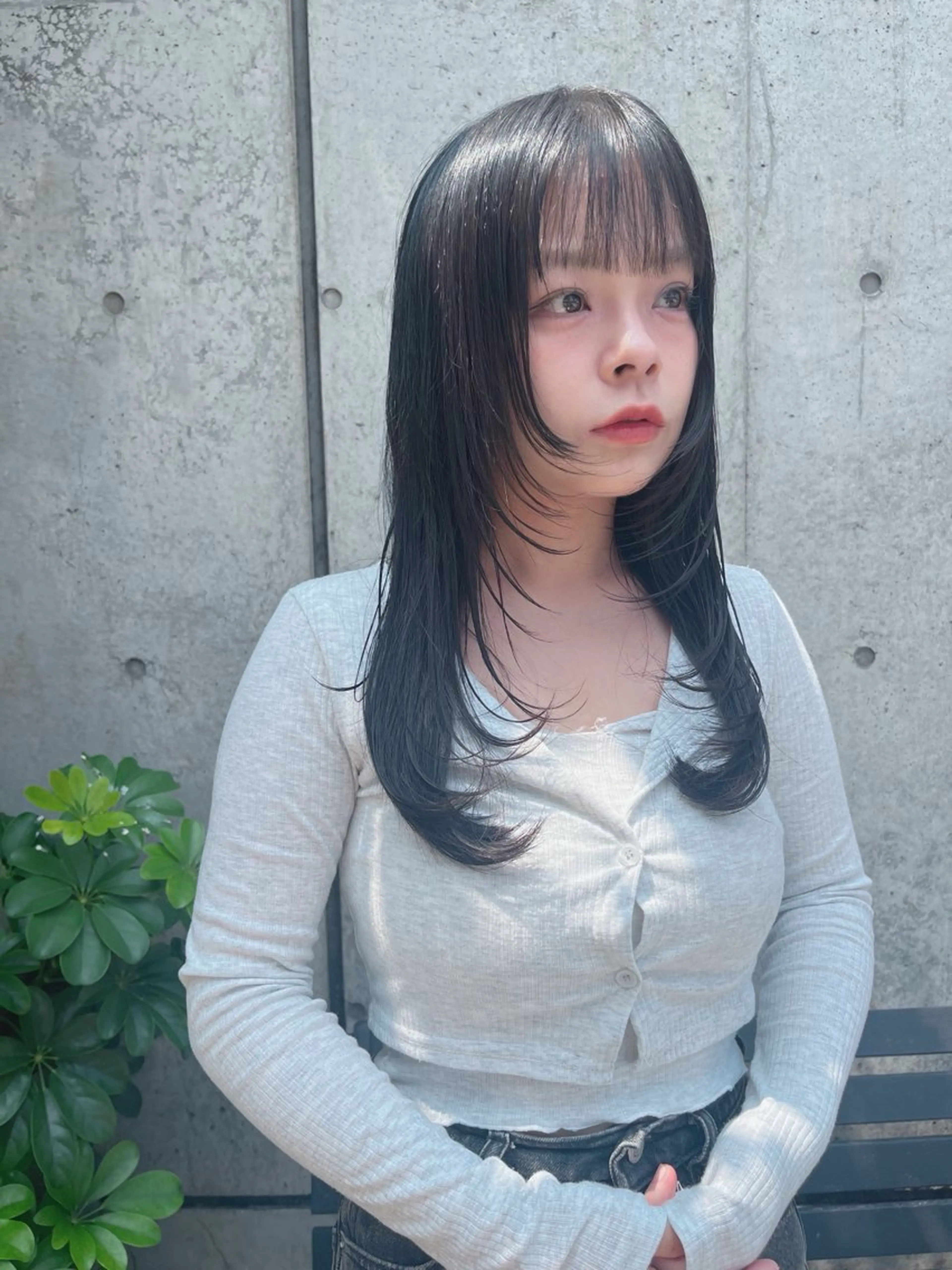 カット (シャンプーブロー付)の写真