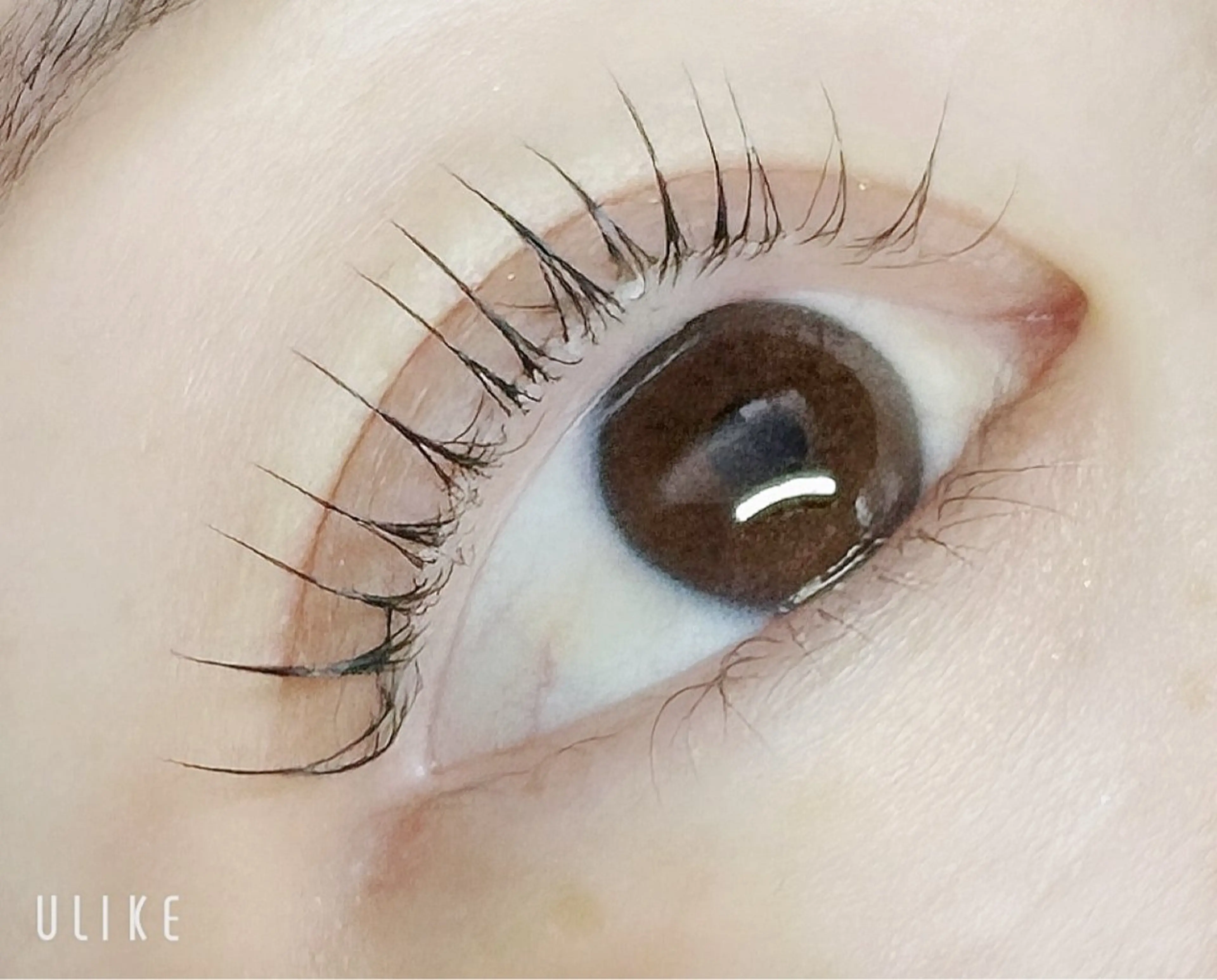 マツエク・マツパ 🐈⬛ Yukaのマツエク・マツパデザイン