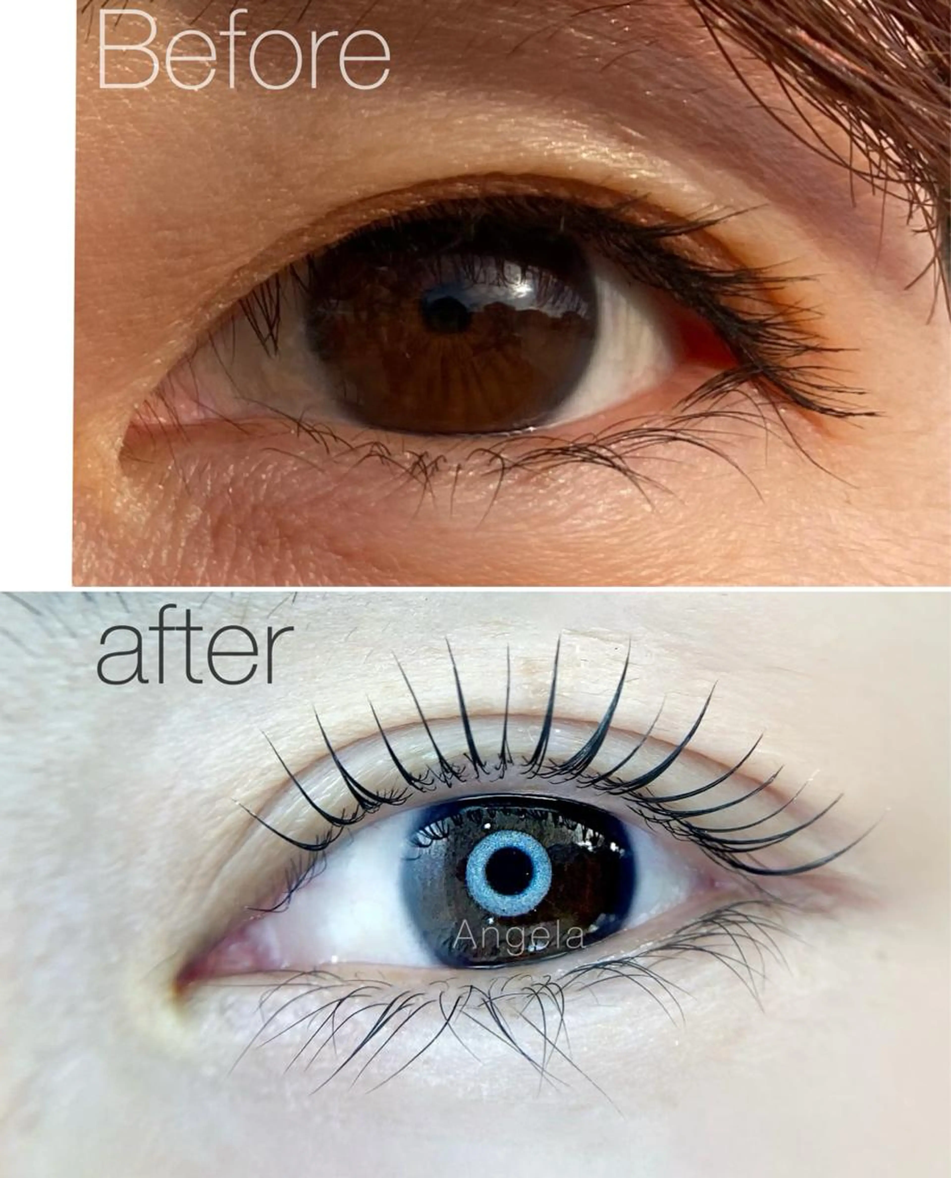 【人気No. 1】【次世代まつげパーマ】⭐︎毛質改善ケア4点付⇨2回目特典ありの写真
