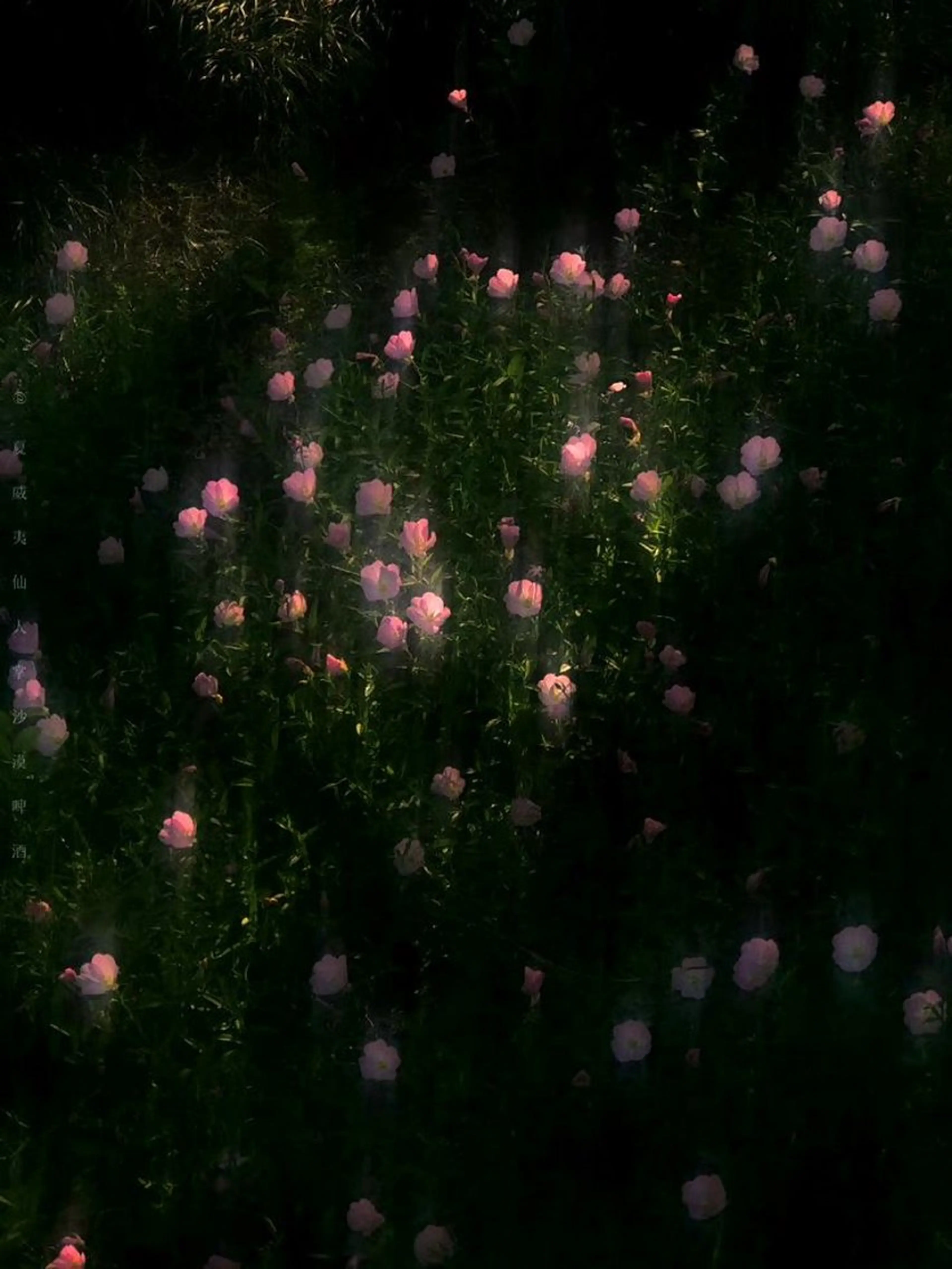 マツエク・マツパ マツエク 🩶バインドロック まつパ🩶由佳の眉毛・アイブロウイメージ