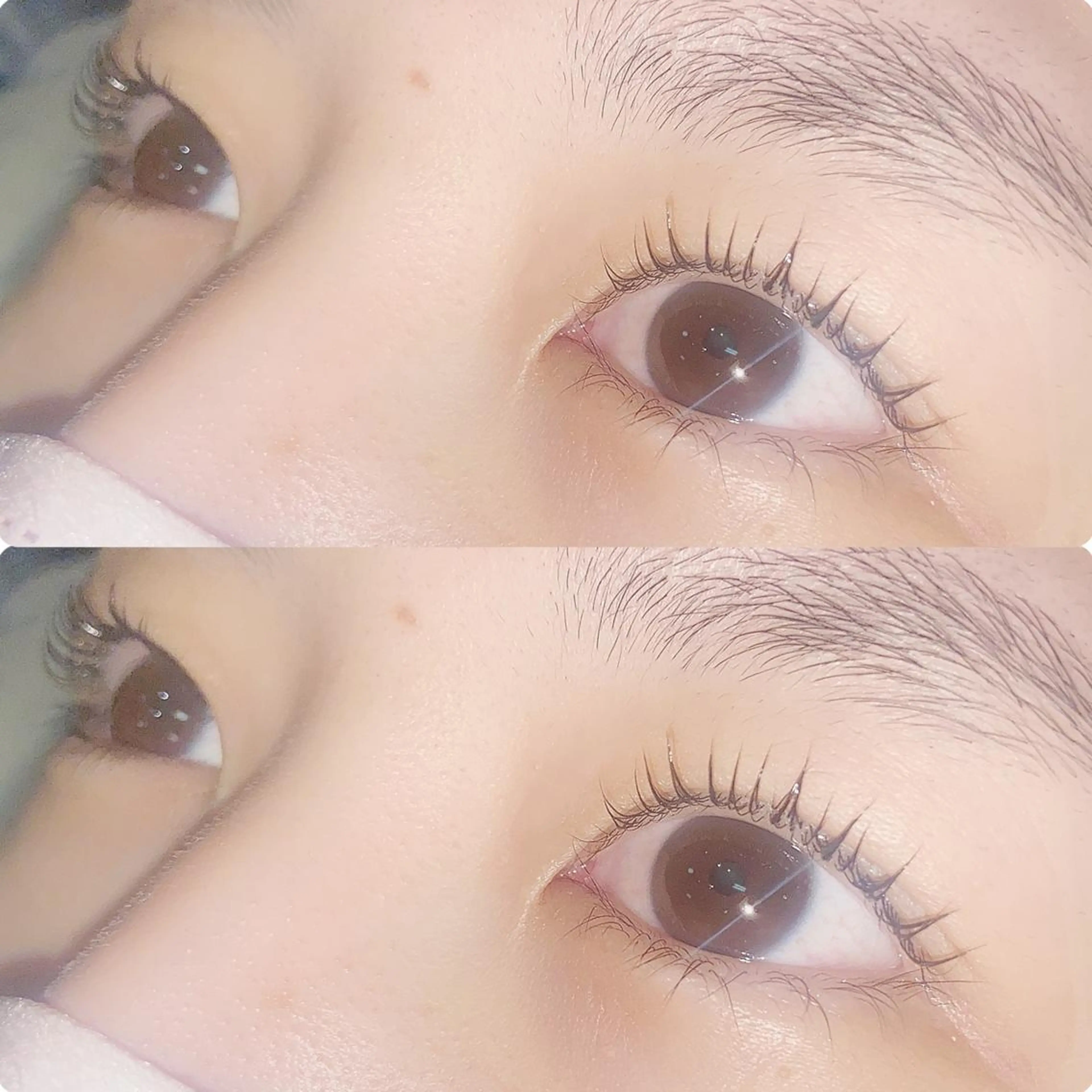 マツエク・マツパ マツパ hikari 🌻*.ﾟのマツエク・マツパデザイン