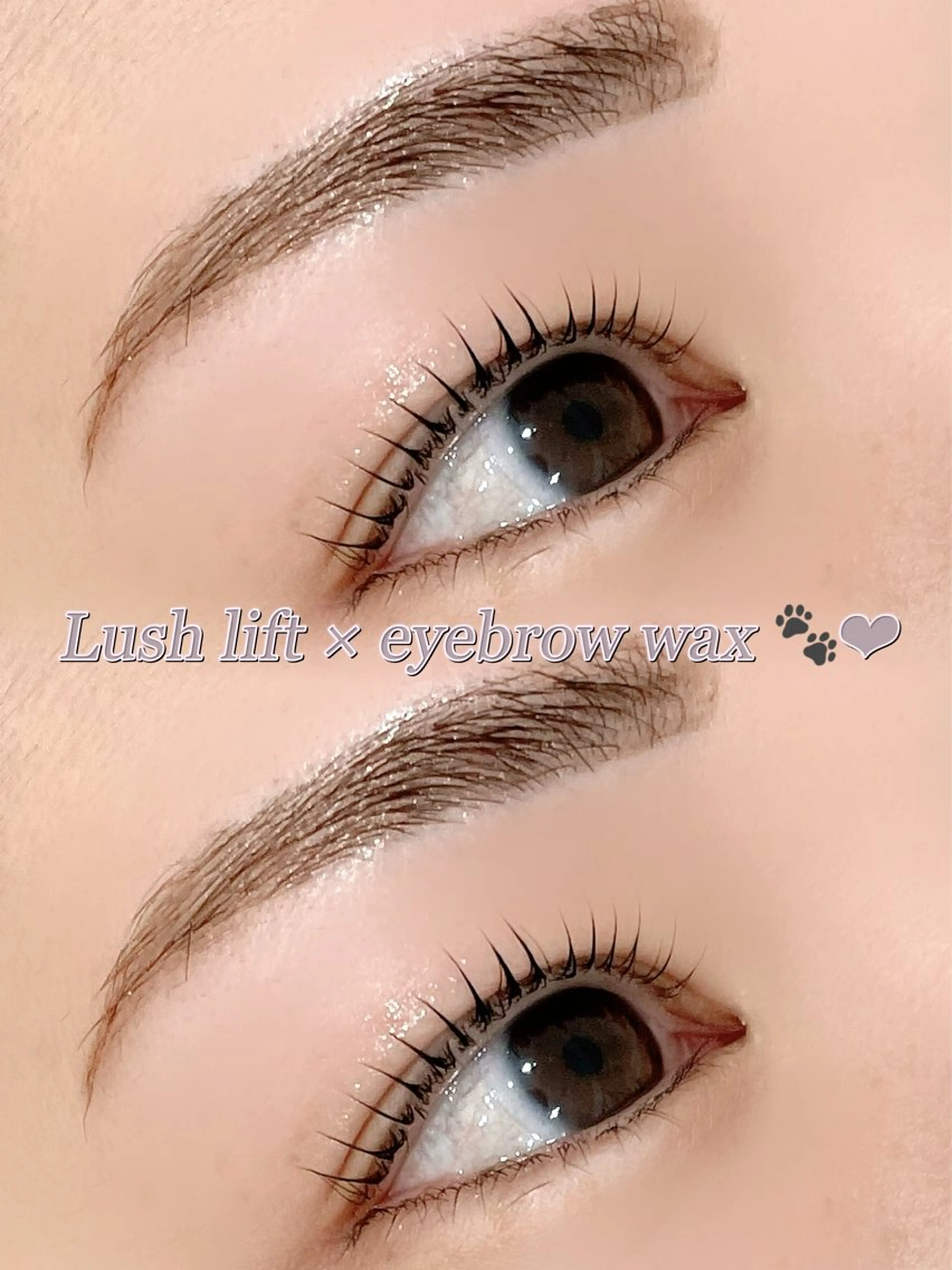 【平日限定】🌐🤍眉WAX＋ラッシュリフト🌐🤍の写真