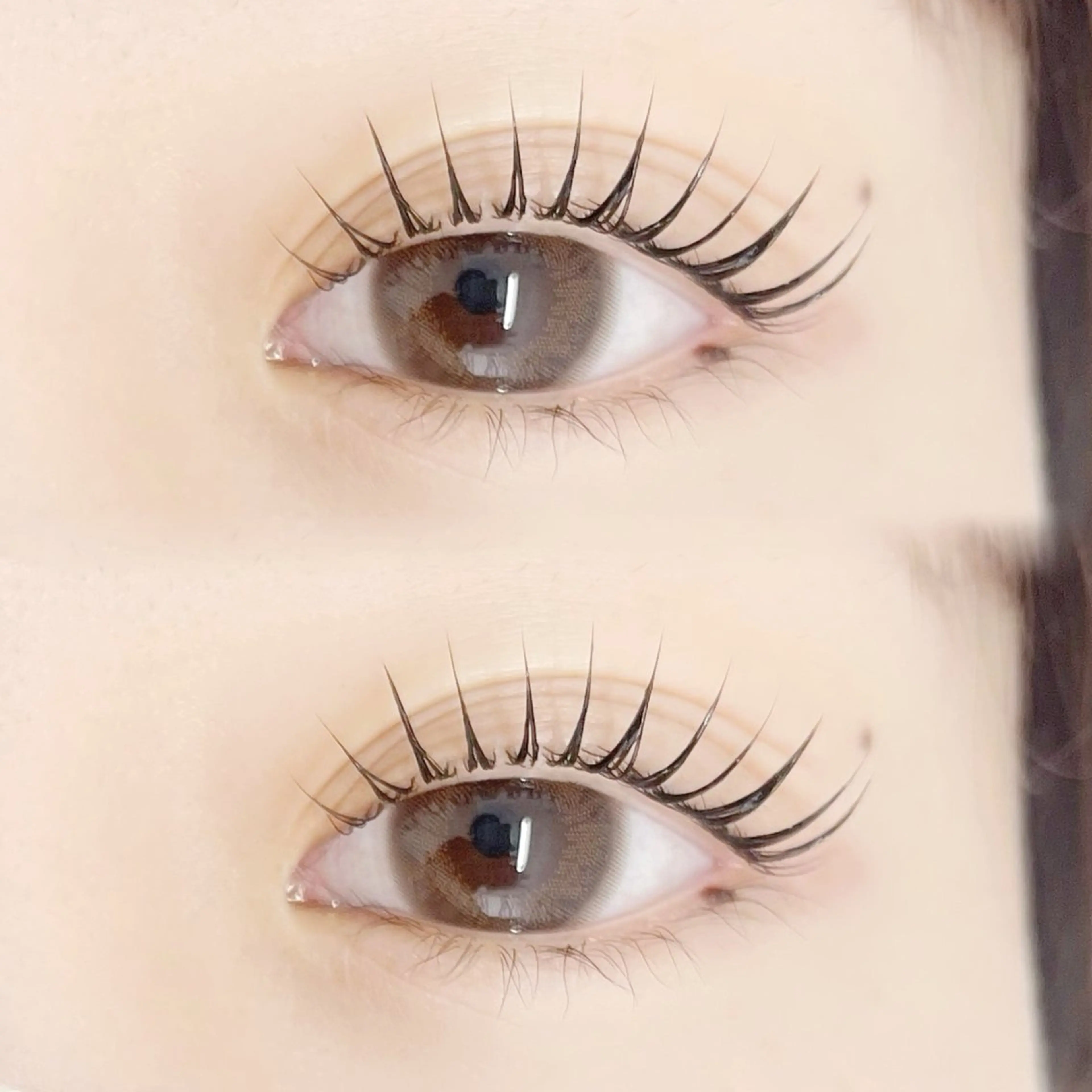 【ご新規様】🤍パリジェンヌorまつ毛パーマ🤍の写真