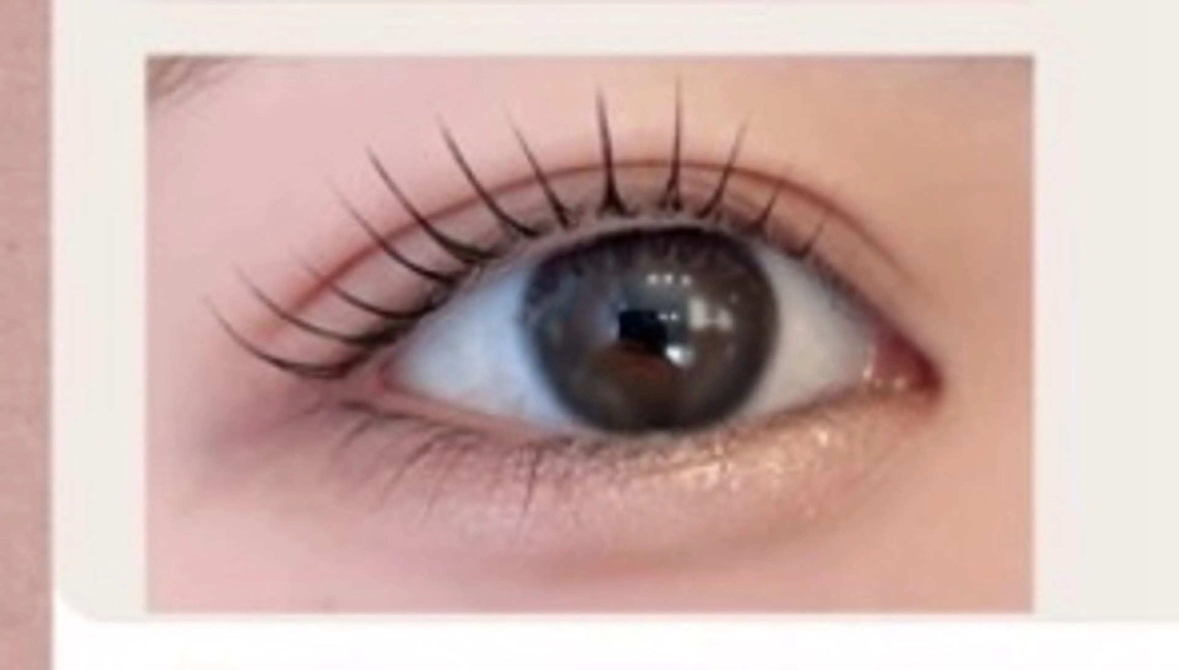 【まつ毛パーマ🌟立ち上げ✖︎ストレート】ラシュリー¥3280の写真