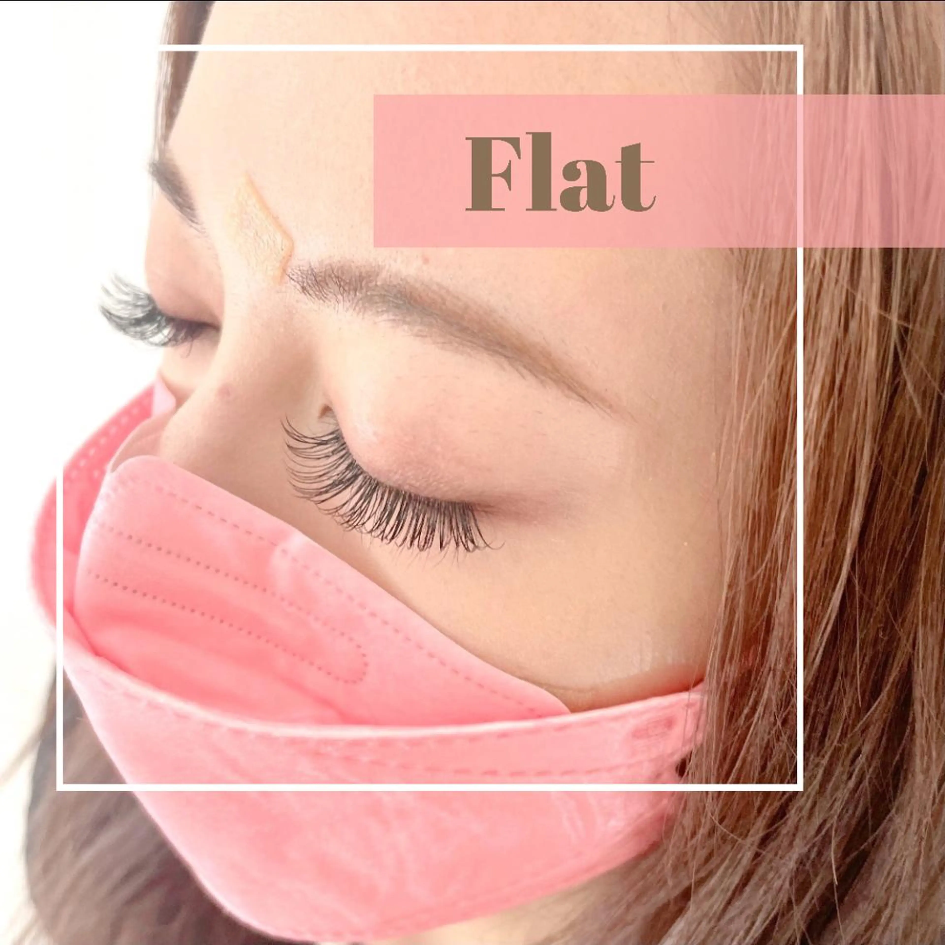 フラットラッシュ 120本の写真