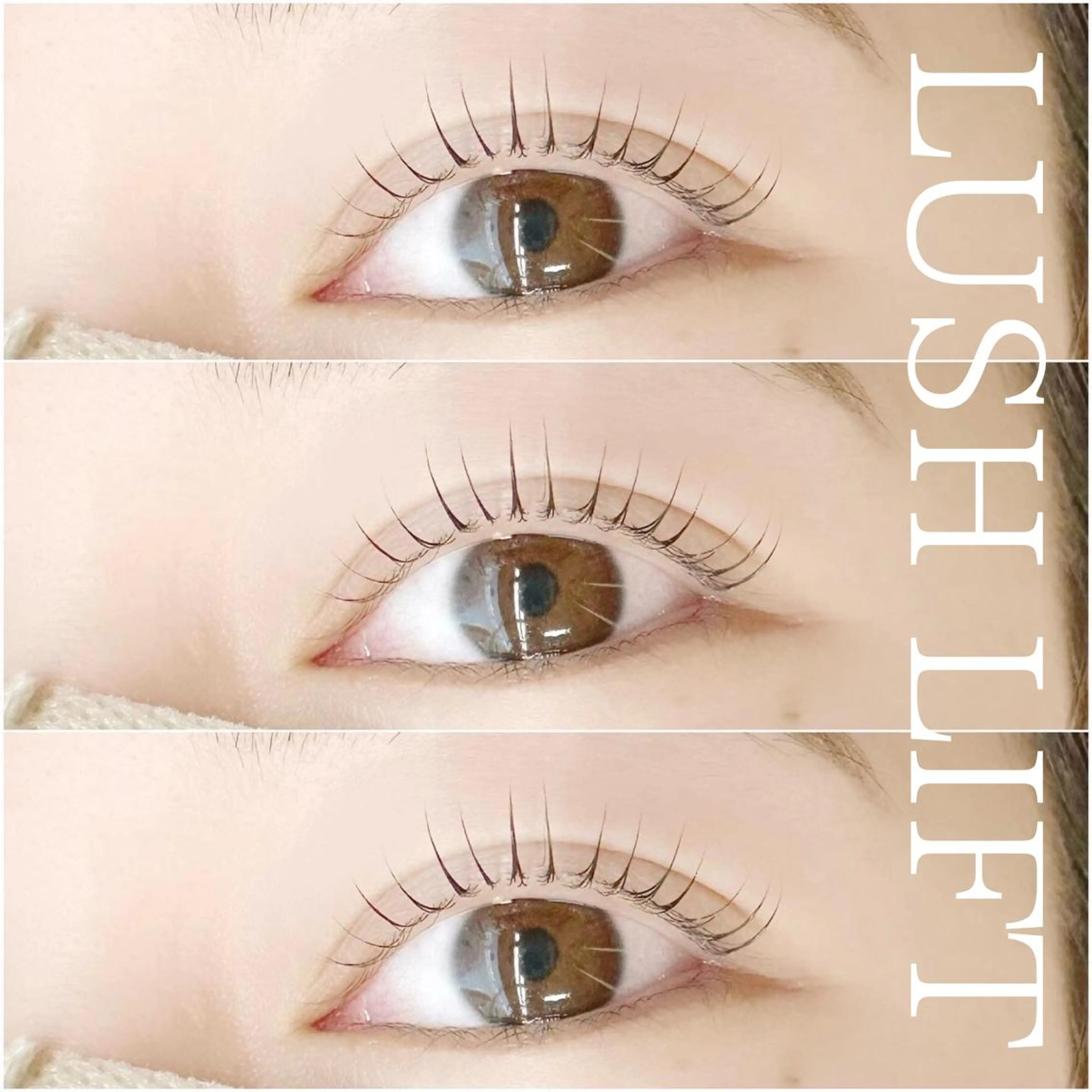 ラッシュリフト🌈ケラチントリートメント付き【学生500円引】の写真