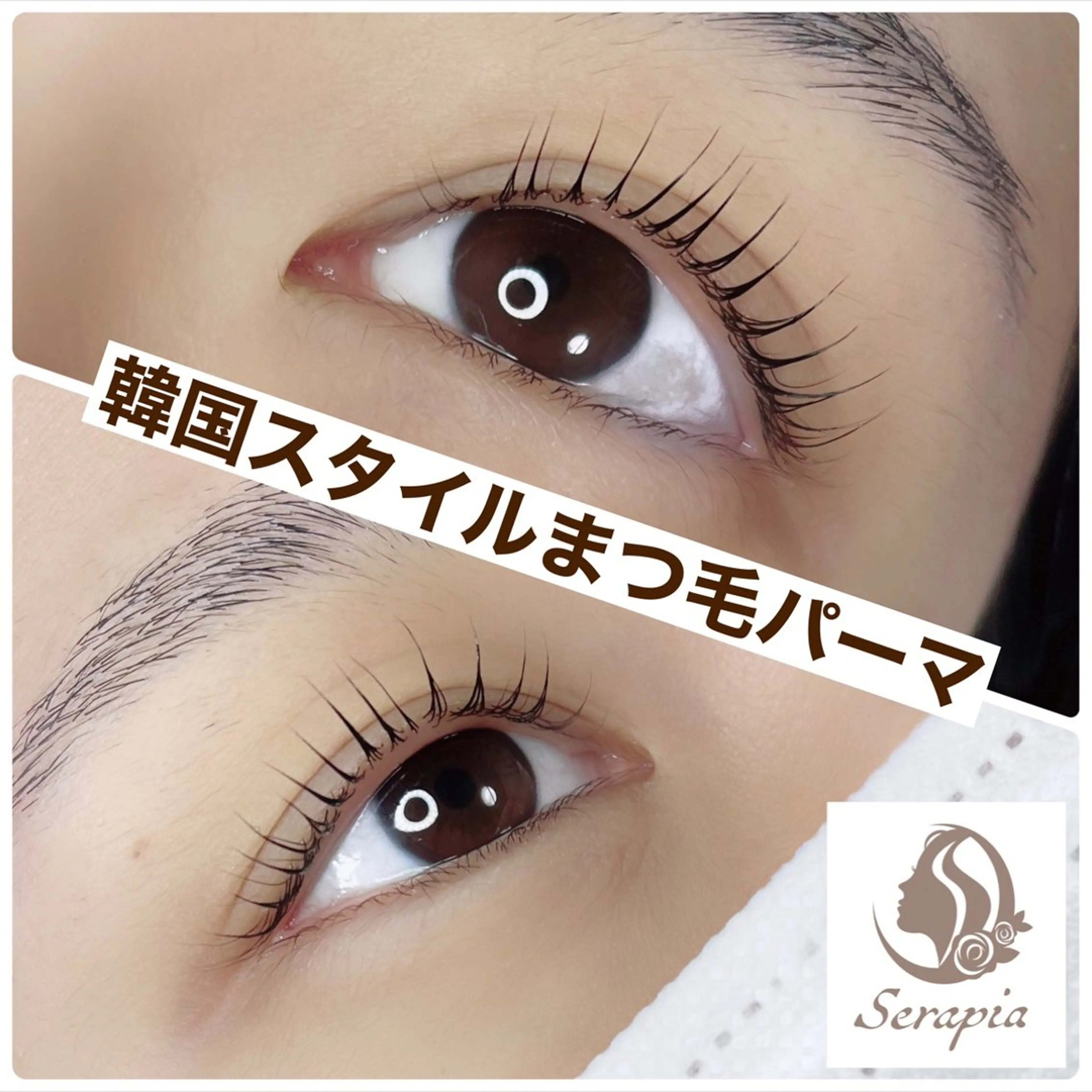 マツエク・マツパ 韓国風マツエク 一重×まつ毛パーマ Serapia 【セラピア】のマツエク・マツパデザイン