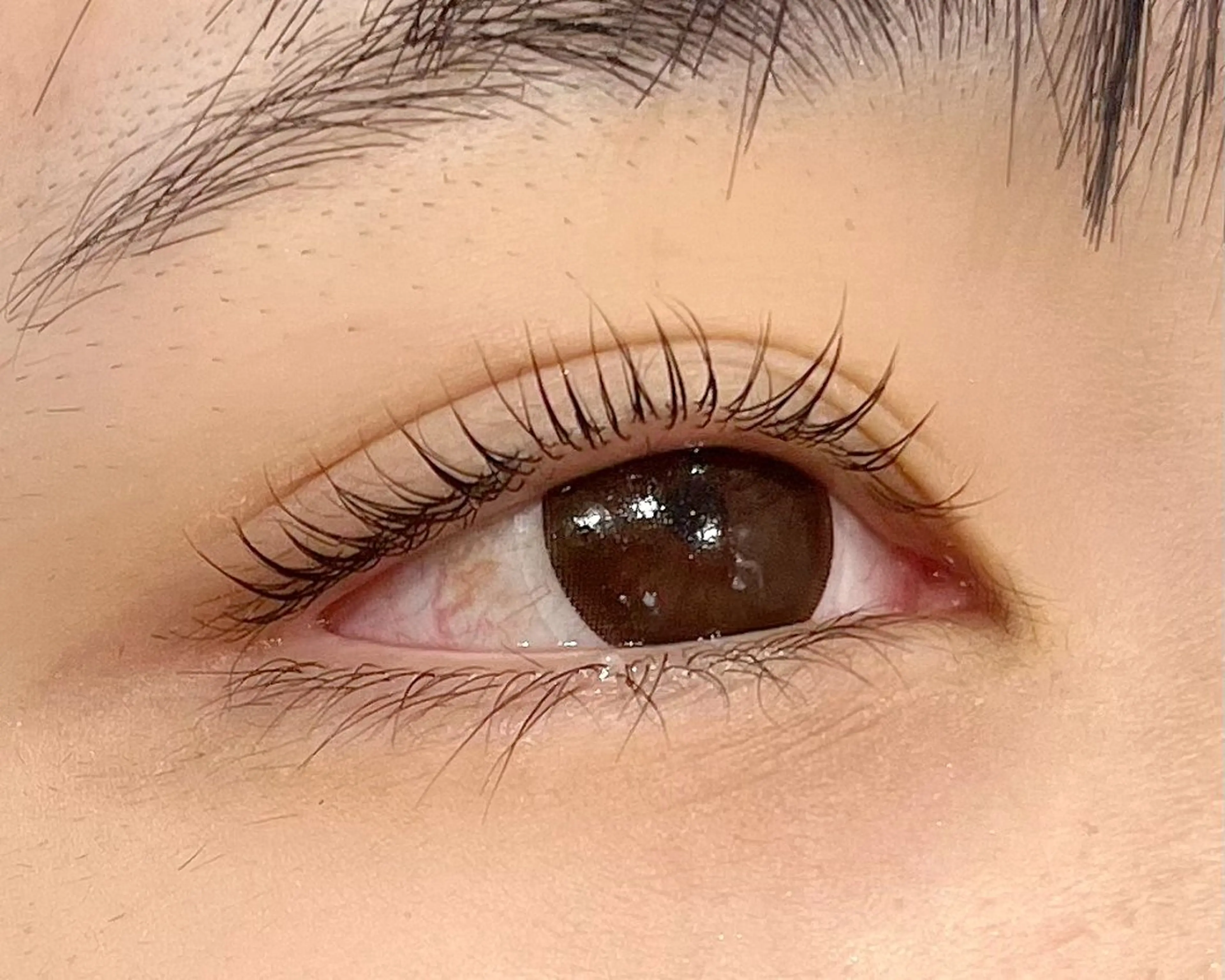 マツエク・マツパ マツパ epill Lenna .🦋のマツエク・マツパデザイン