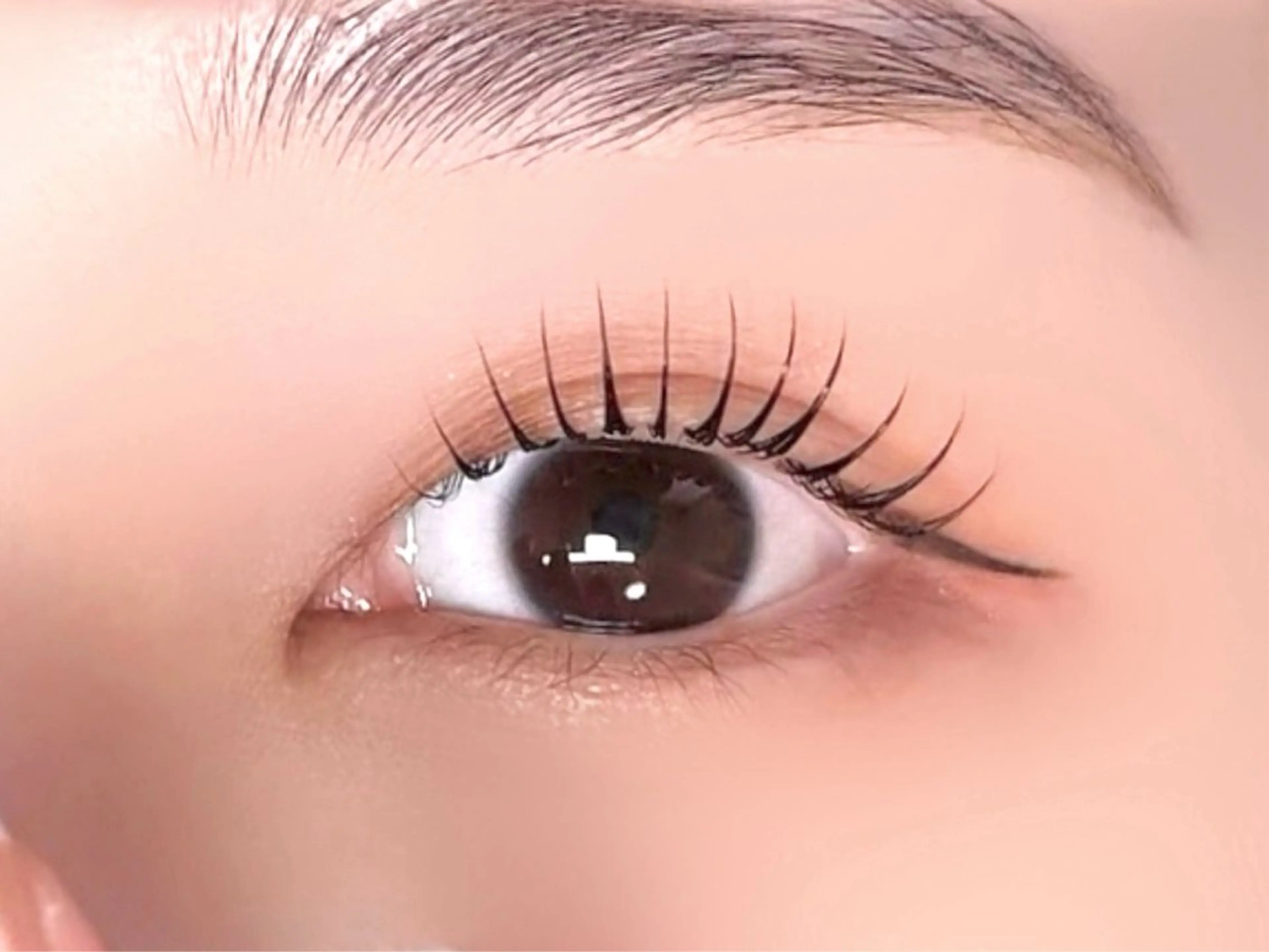 マツエク・マツパ Cカール まつげパーマ salonAiles 【エル】SASAMEのマツエク・マツパデザイン