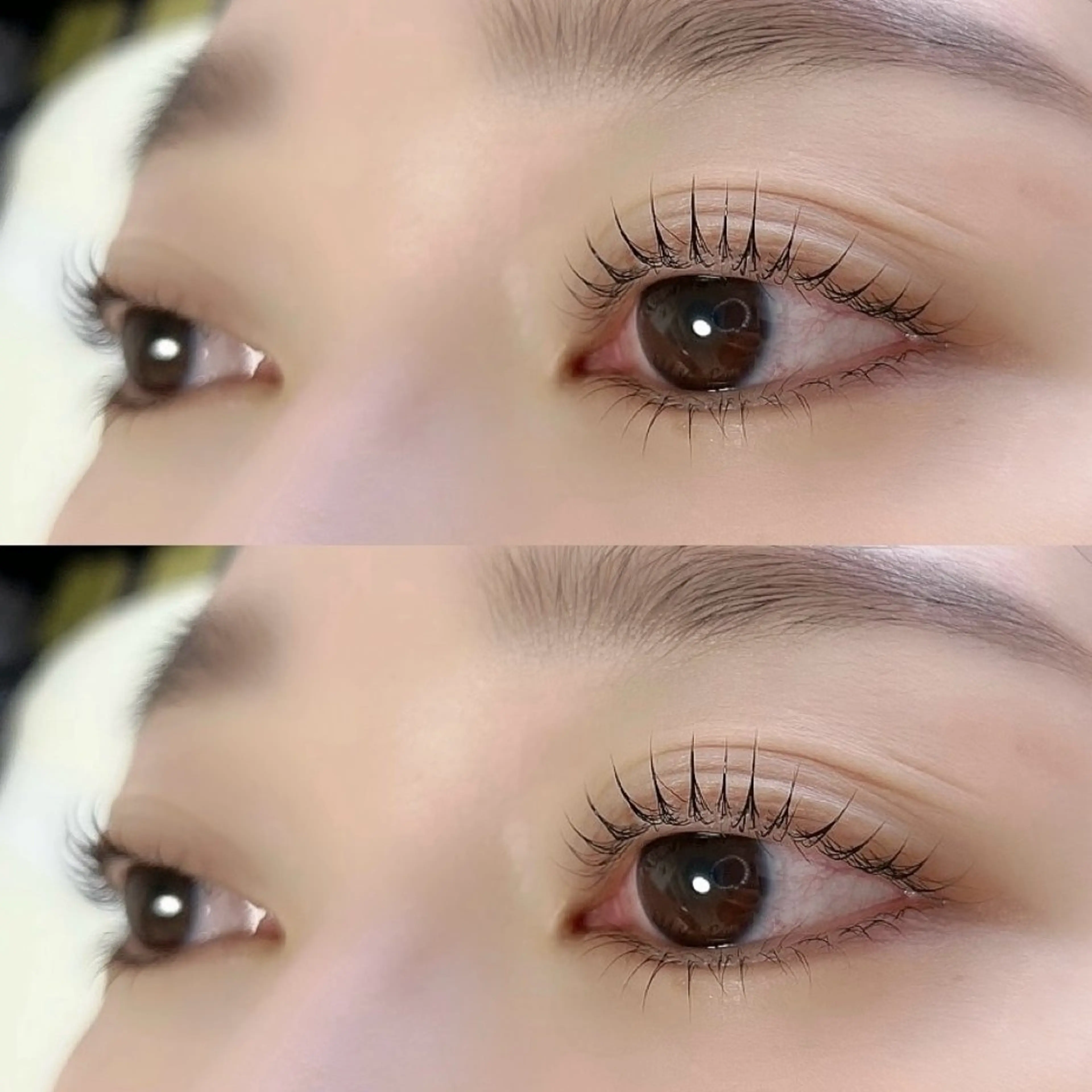 マツエク・マツパ パリジェンヌラッシュリフト Lilacia まつげパーマ/マツエク/眉【リラシア】所属・Misato 【尾山台】のマツエク・マツパデザイン