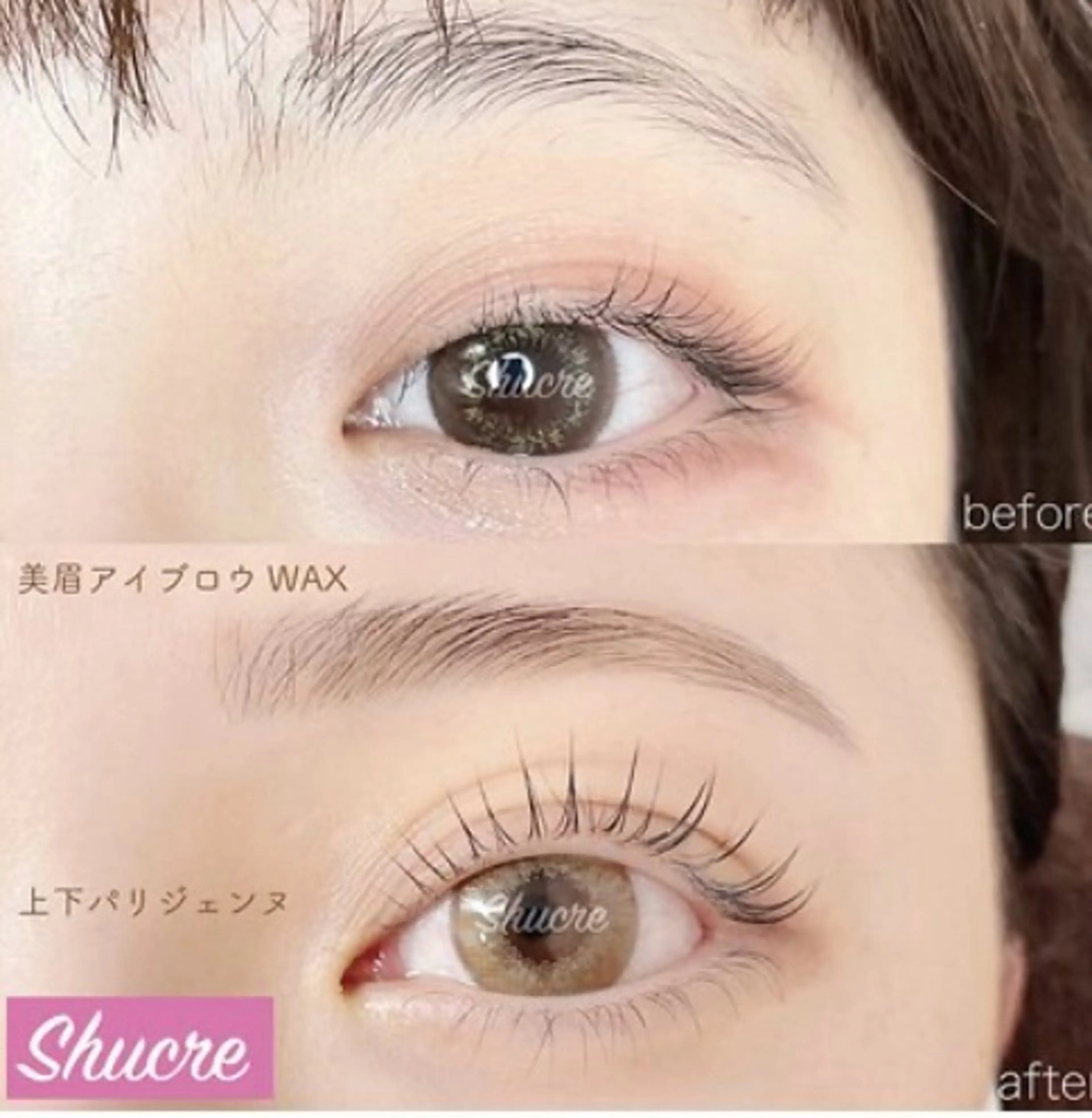 マツエク・マツパ Shucre名駅👀 美玲👑のマツエク・マツパデザイン