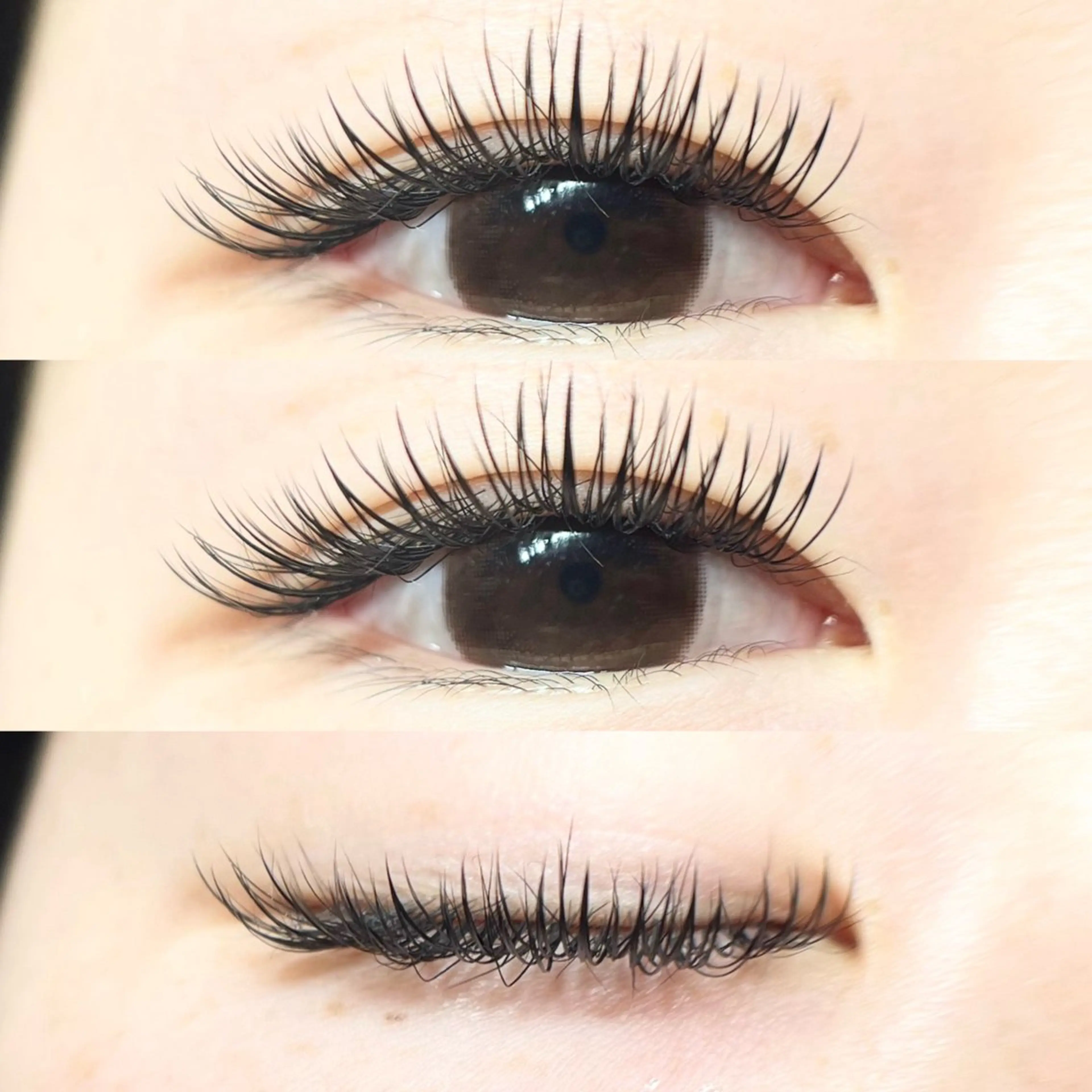 【1月限定✨】Wフラットラッシュ👀🤍（60束、80束）の写真