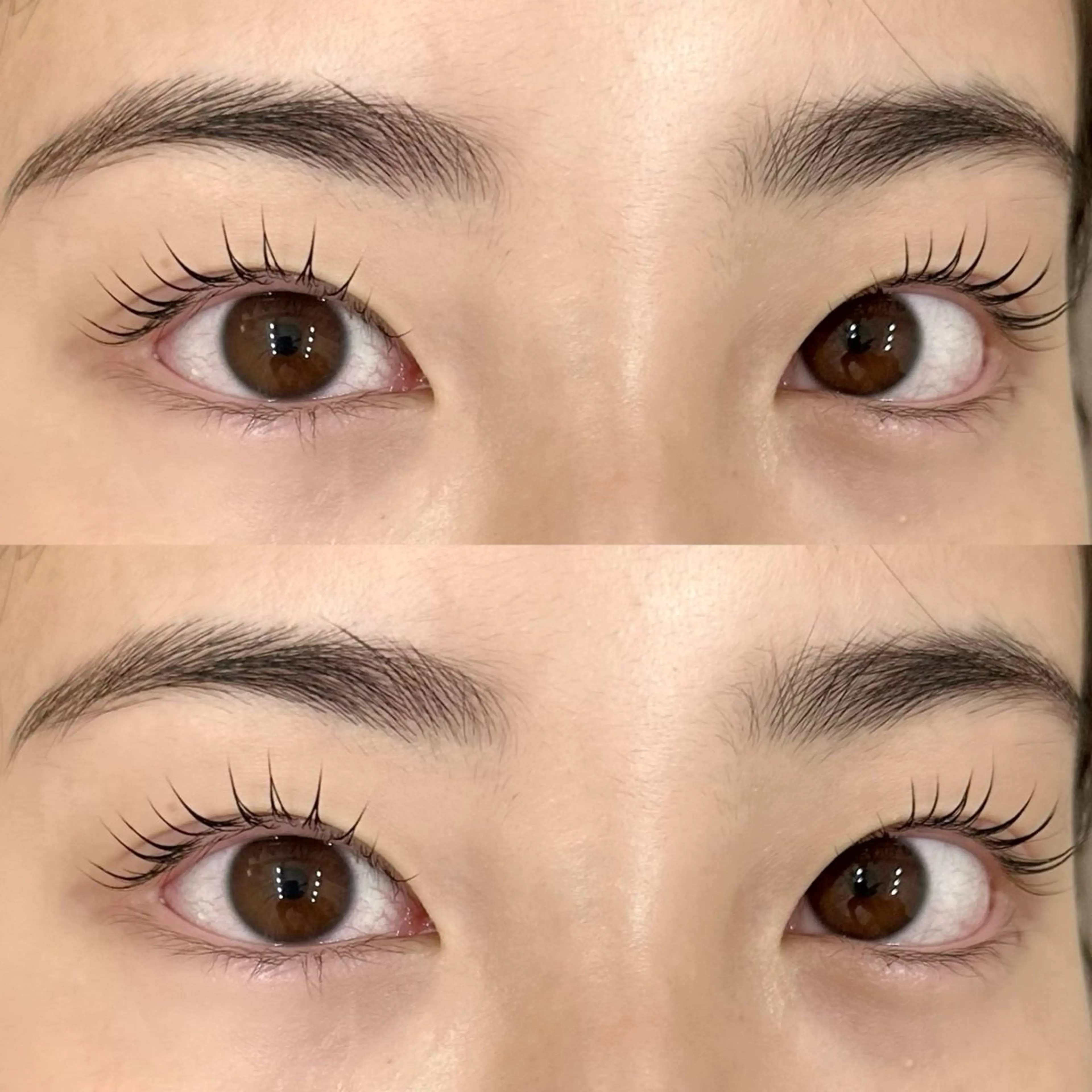 《🎓学割U24》 次世代まつ毛パーマ🌼美容液配合コーティング付の写真